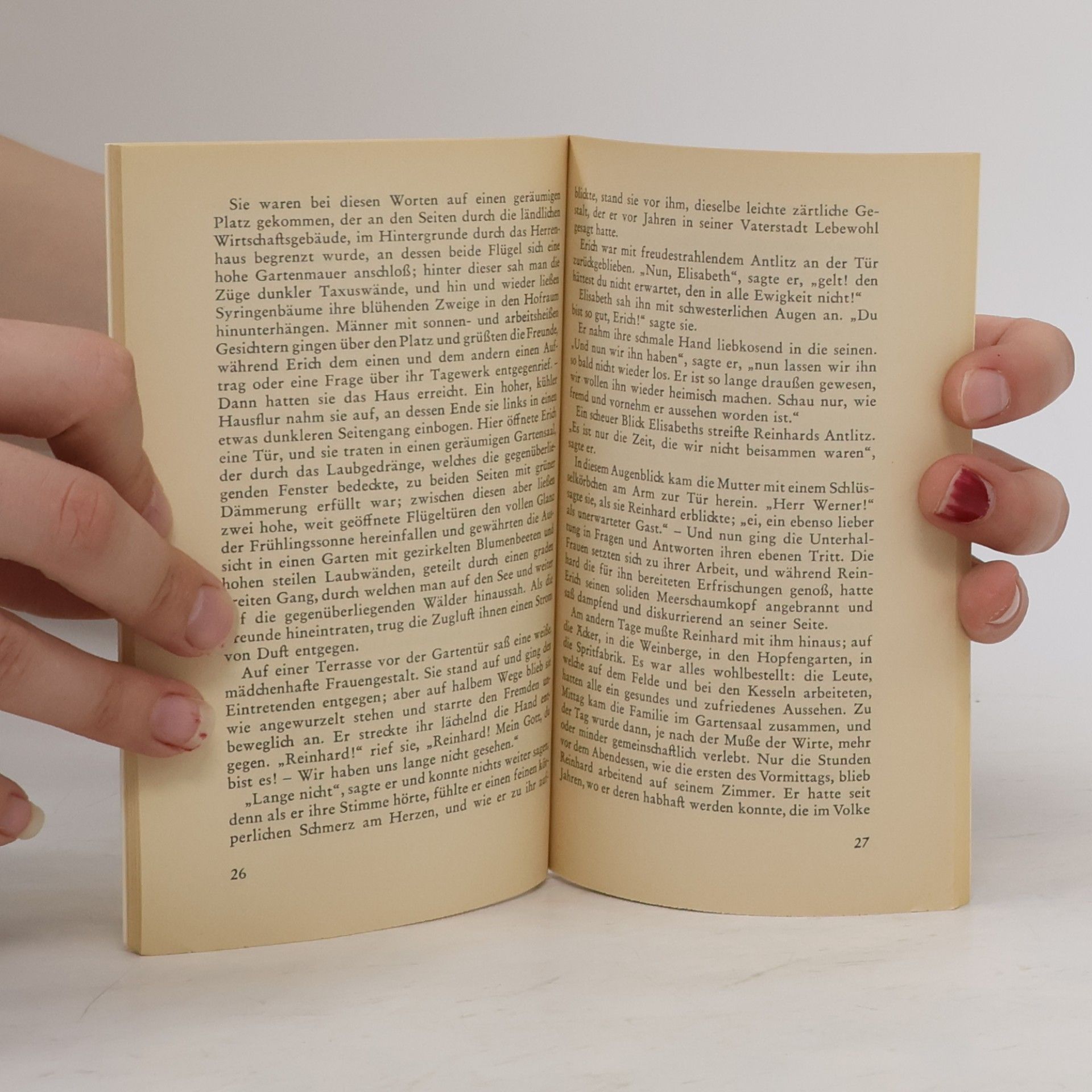 Theodor Storm Immensee und andere Novellen