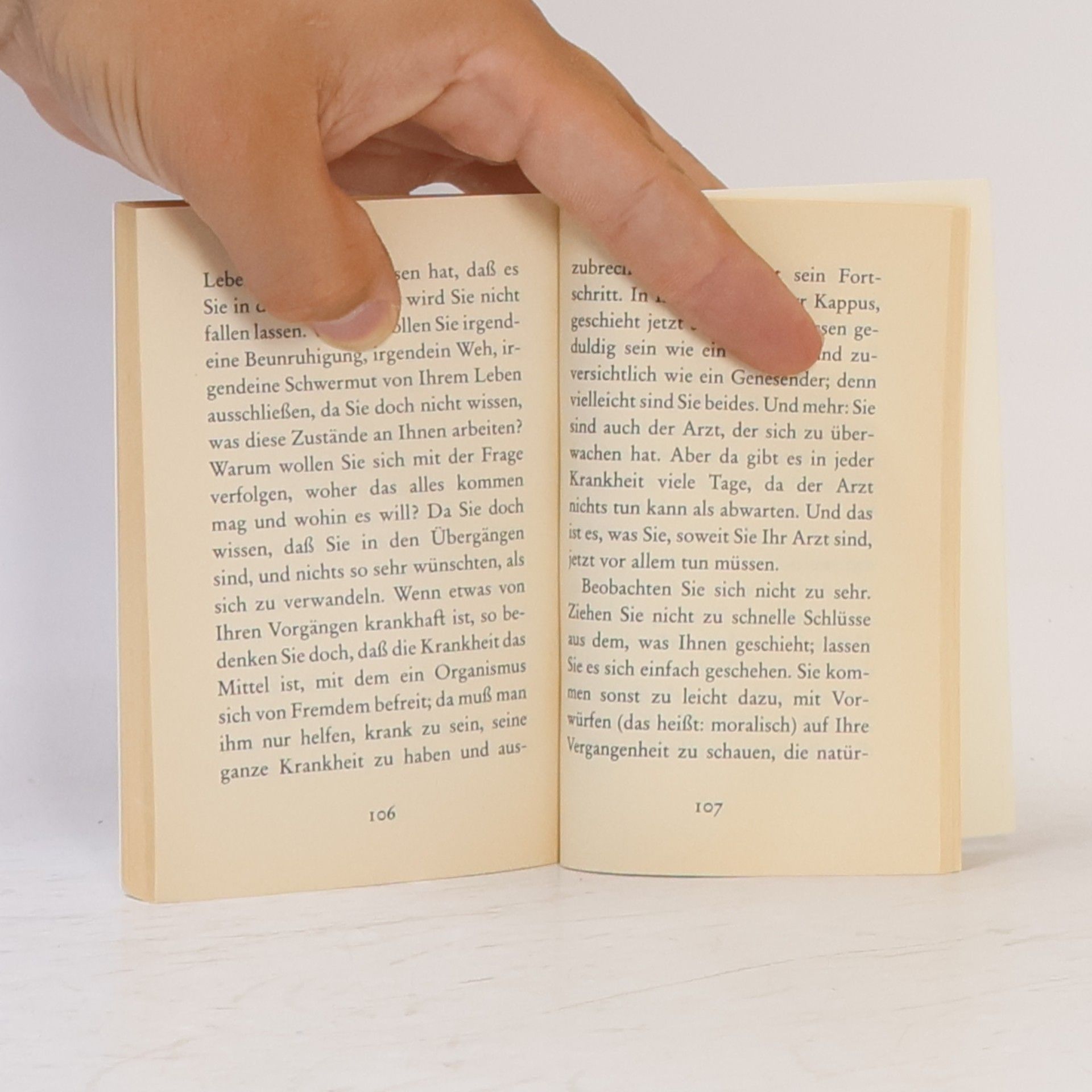 Rainer Maria Rilke Briefe an einen jungen Dichter