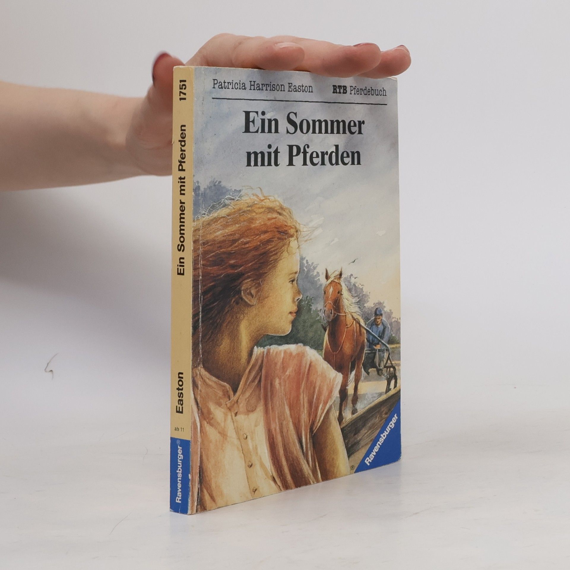 Patricia Harrison Easton Ein Sommer mit Pferden.