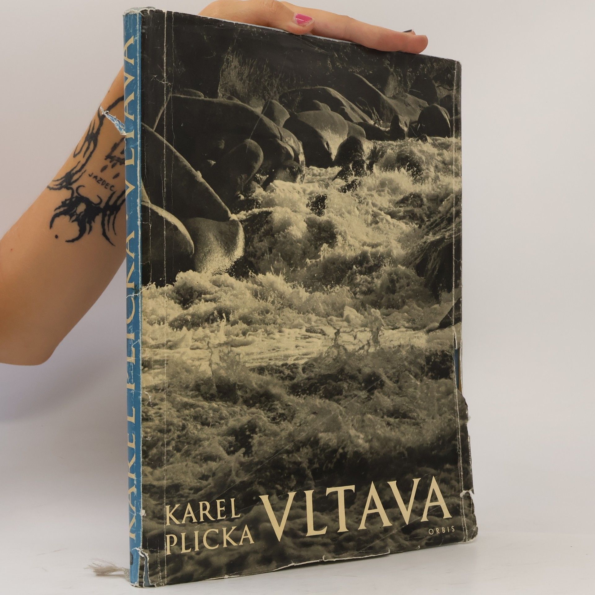 Karel Plicka Vltava