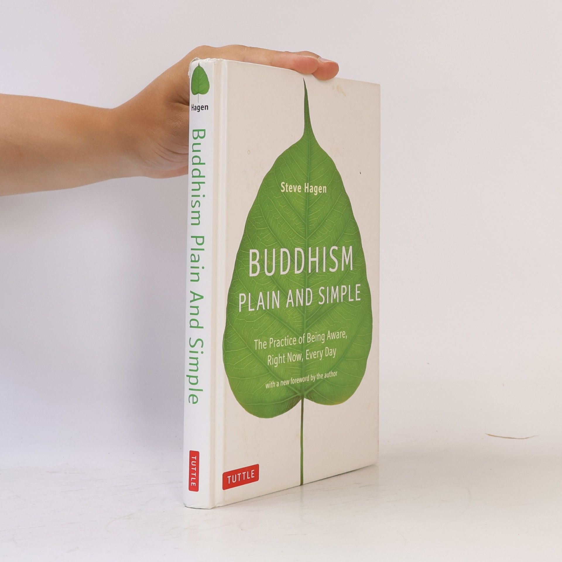 Steve Hagen Buddhism Plain and Simple