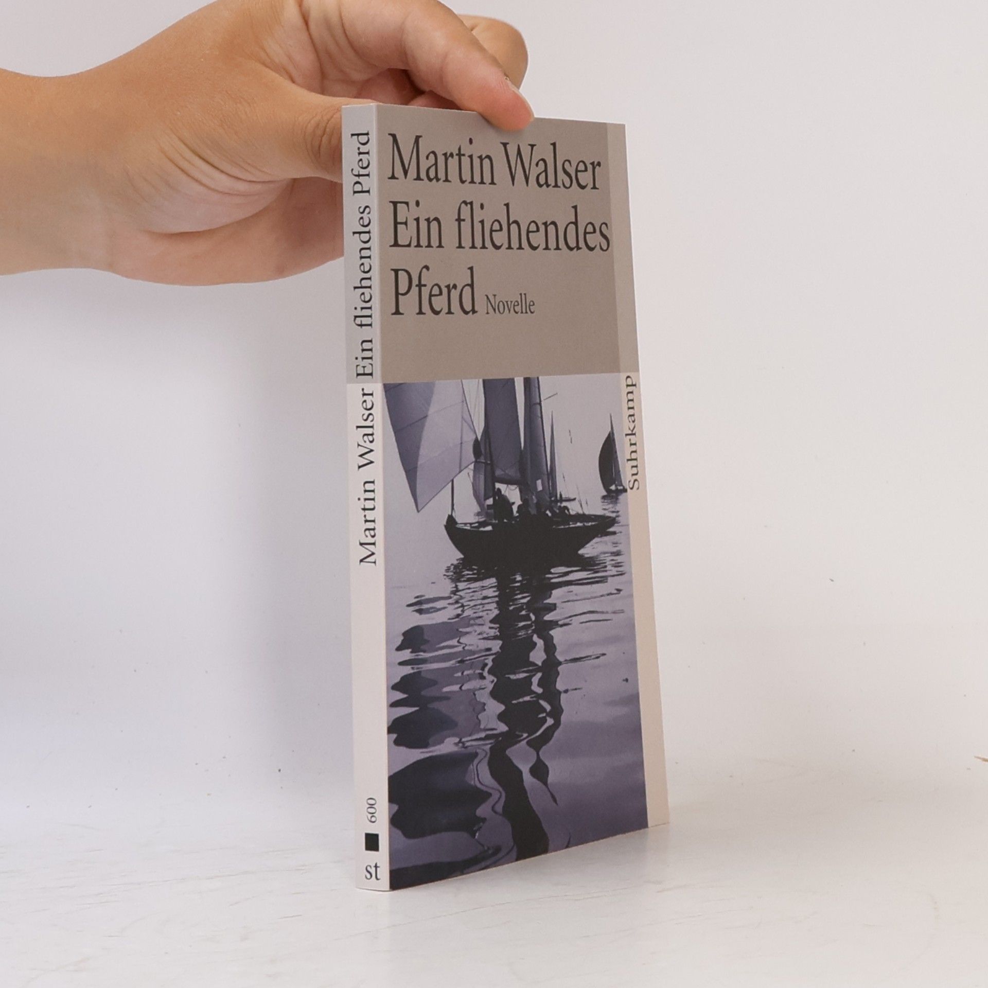 Martin Walser Ein fliehendes Pferd