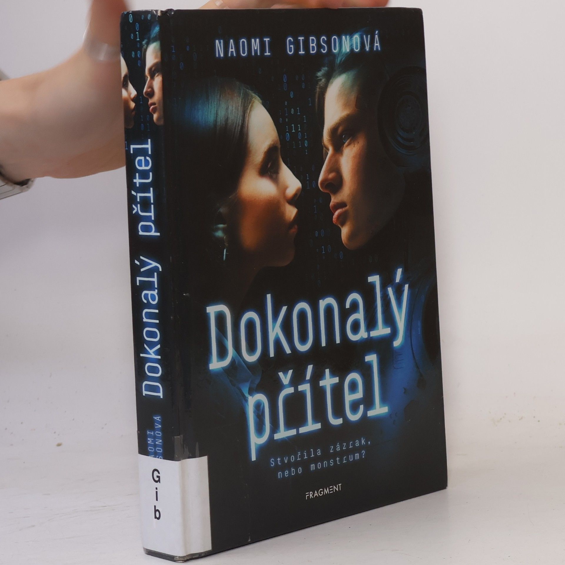 Naomi Gibson Dokonalý přítel