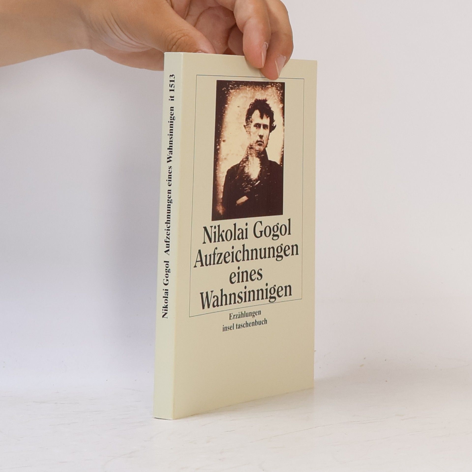 Nikolai Gogol Aufzeichnungen eines Wahnsinnigen
