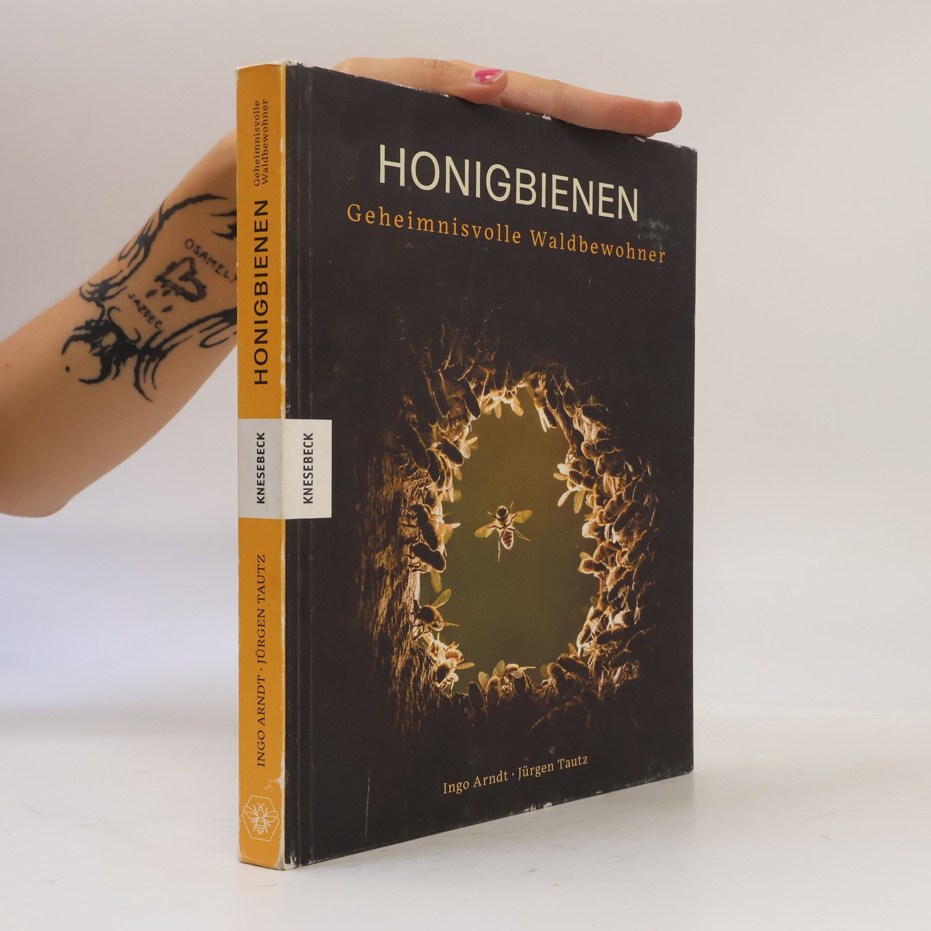 Honigbienen - geheimnisvolle Waldbewohner