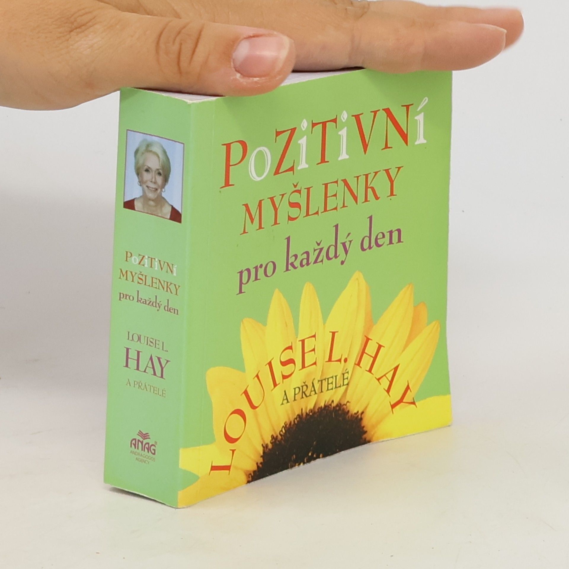 Lousie L. Hay Pozitivní myšlenky pro každý den