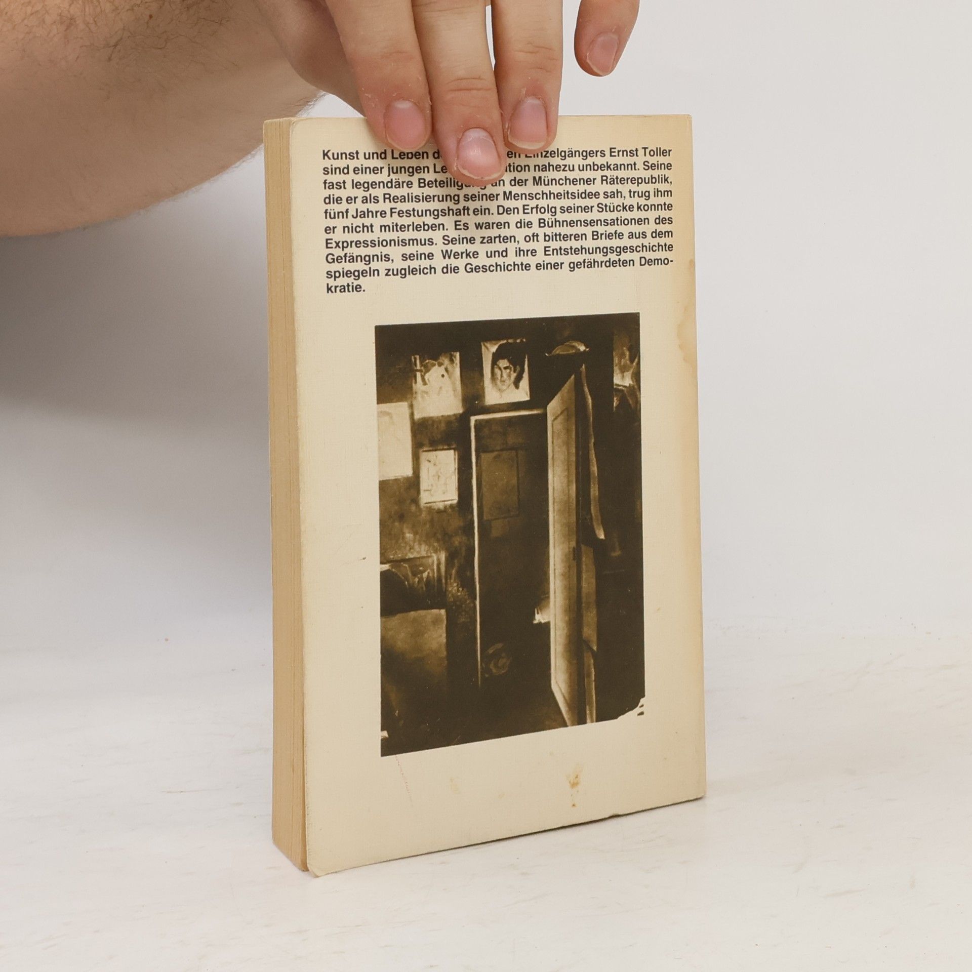 Ernst Toller Prosa, Briefe, Dramen, Gedichte