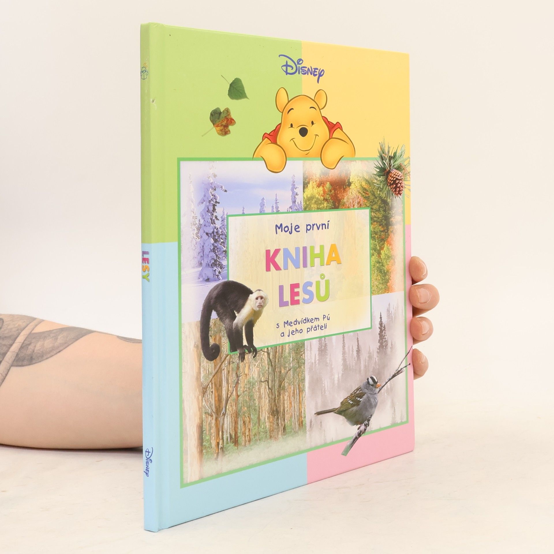 Walt Disney Moje první kniha lesů