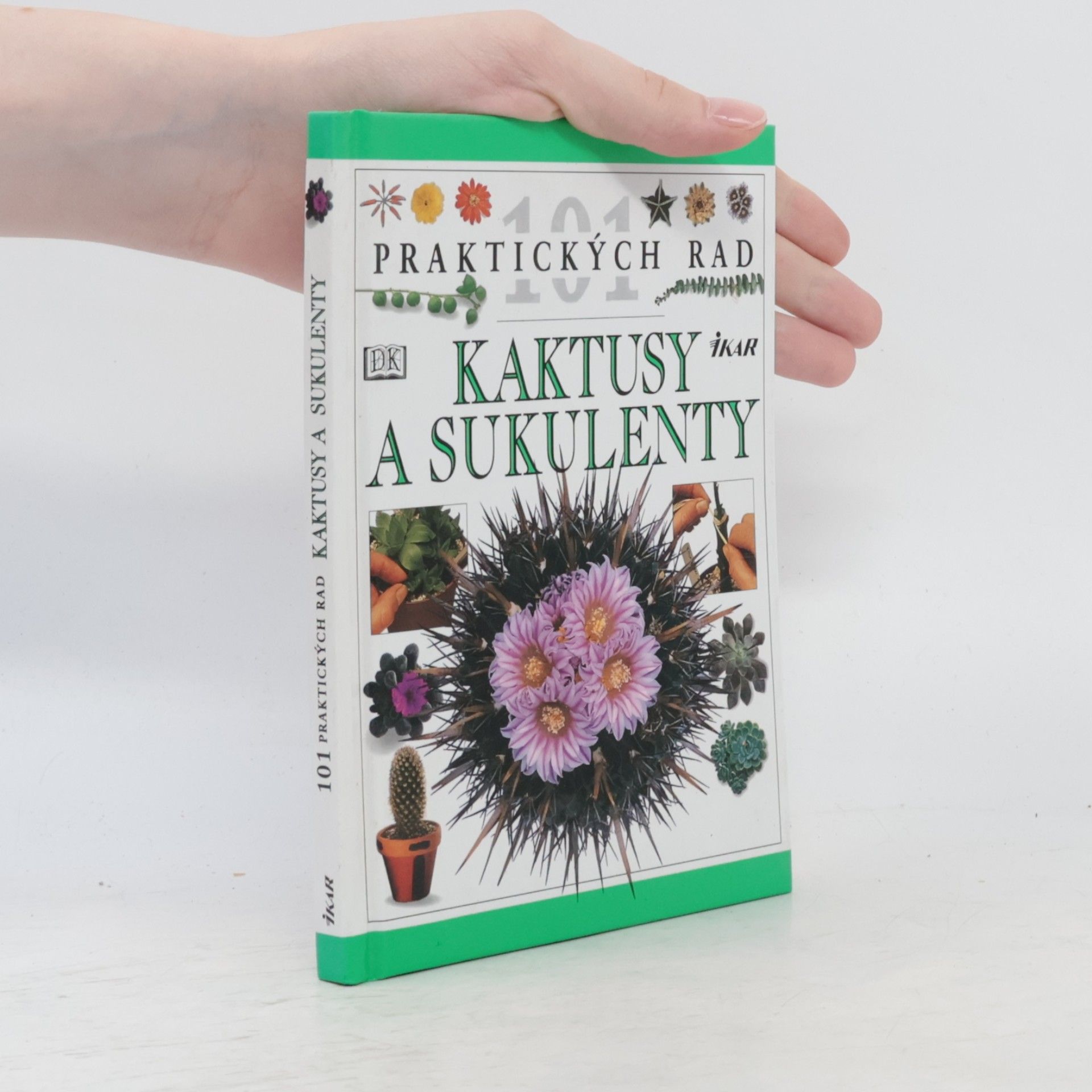 Terry Hewitt Kaktusy a sukulenty