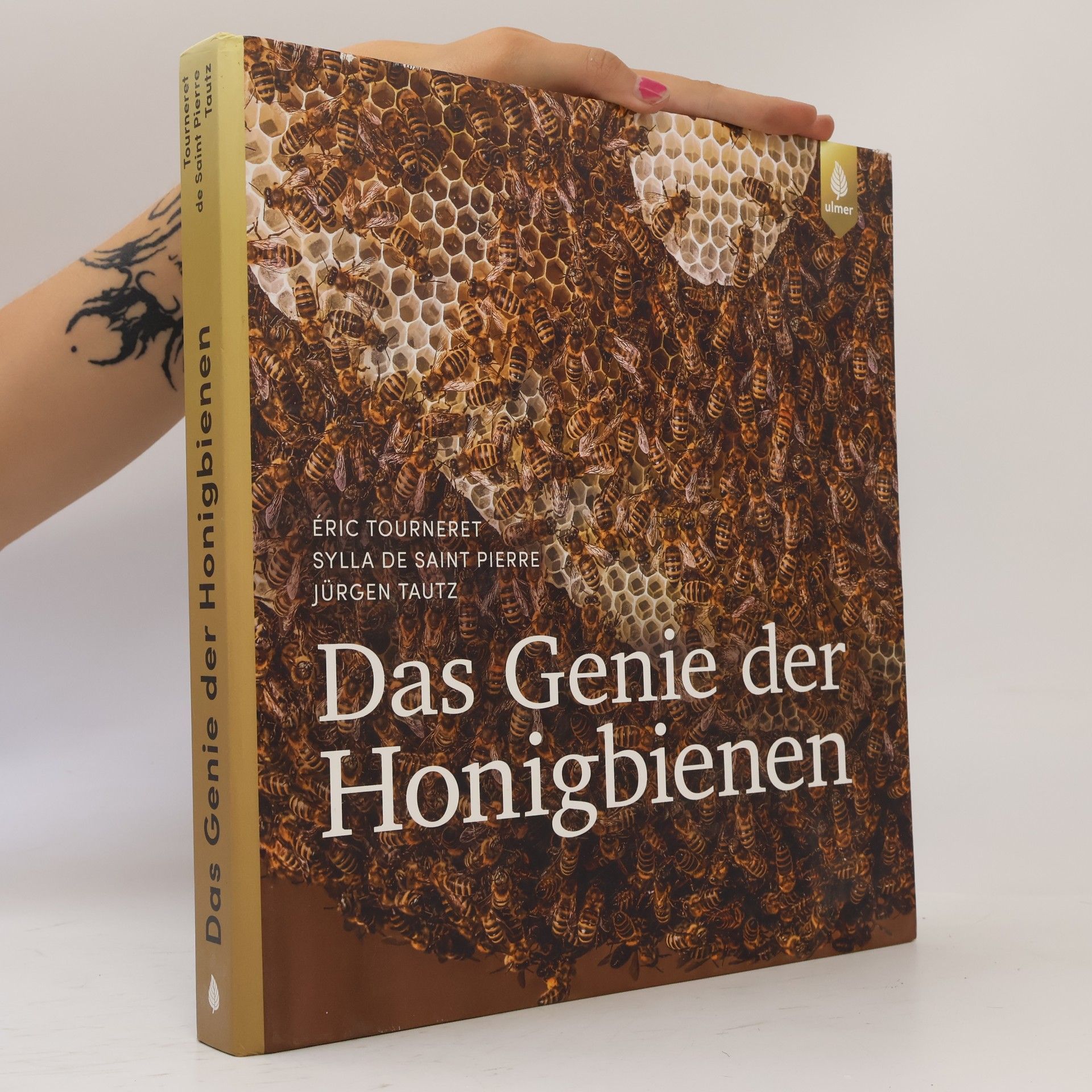 Das Genie der Honigbienen