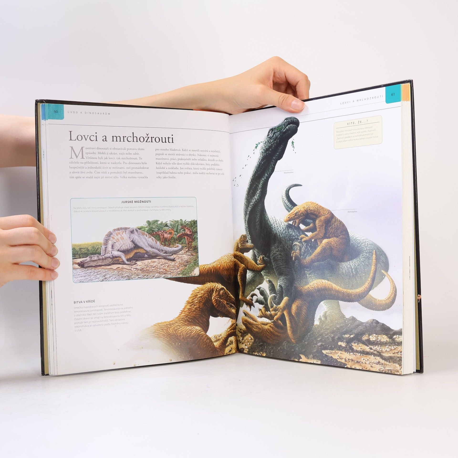 M. K. Brett Surman Dinosauři. Velká dětská encyklopedie