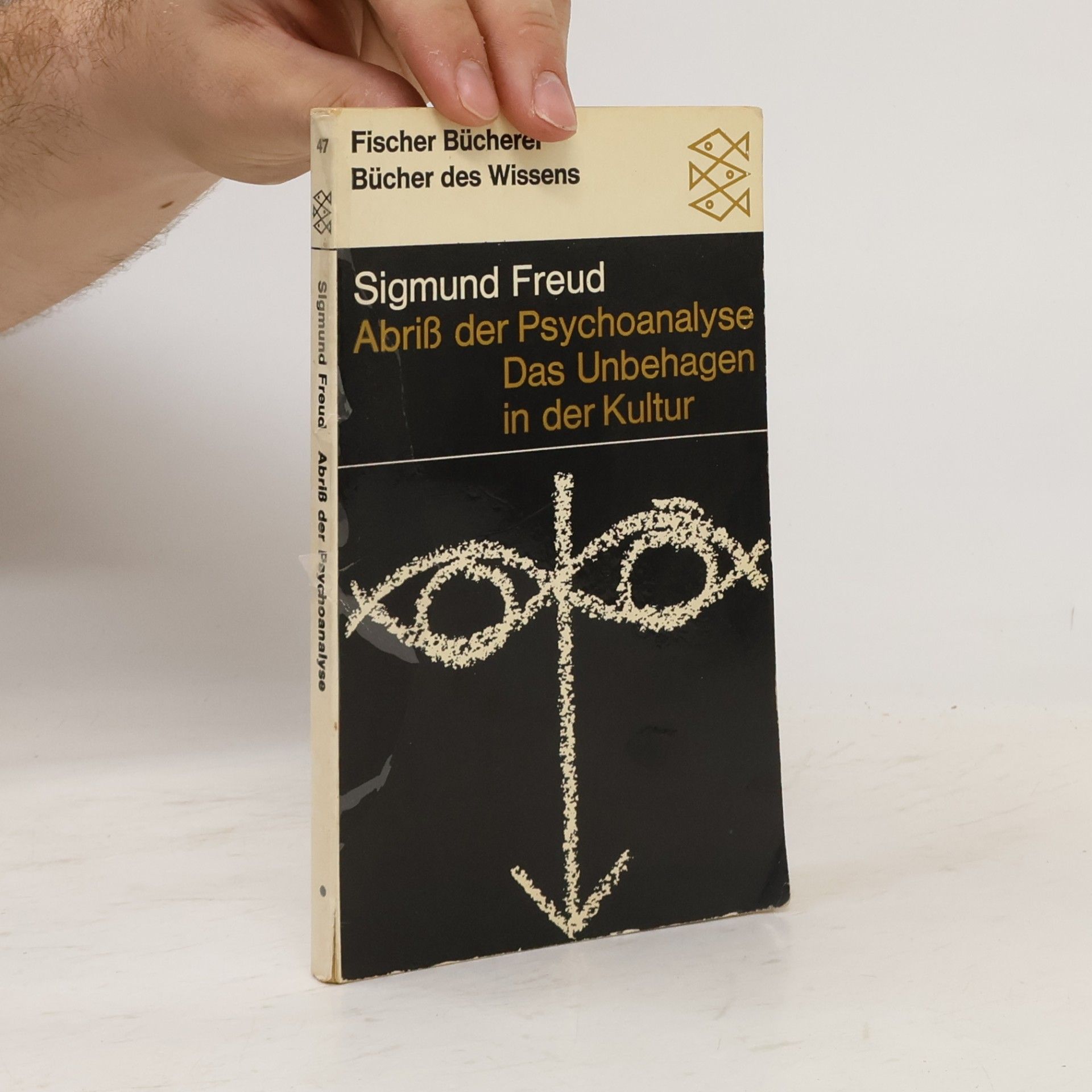 Sigmund Freud Abriß der Psychoanalyse. Das Unbehagen in der Kultur
