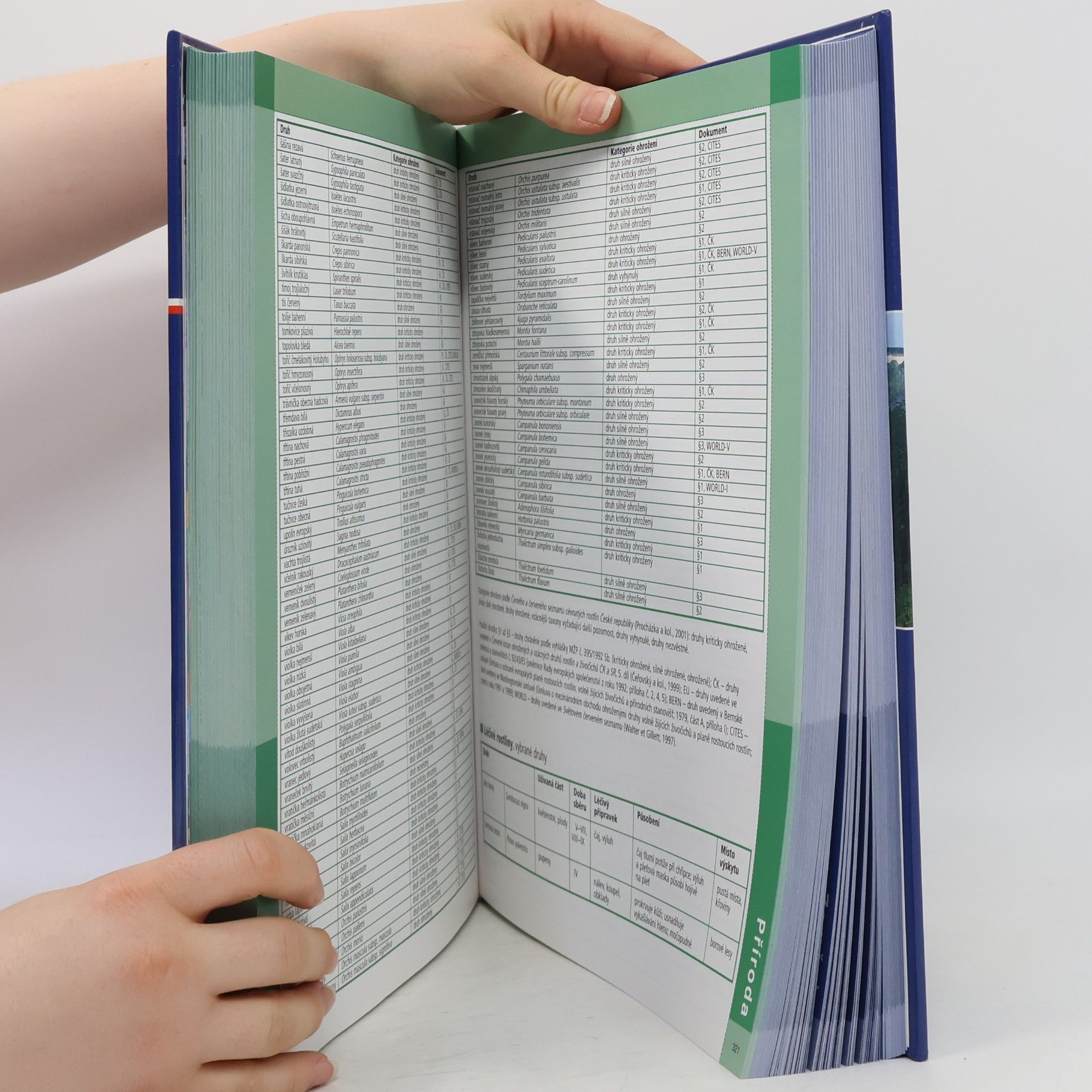 Kolektiv autorů Ottova encyklopedie. Česká republika 1. Příroda, zeměpis