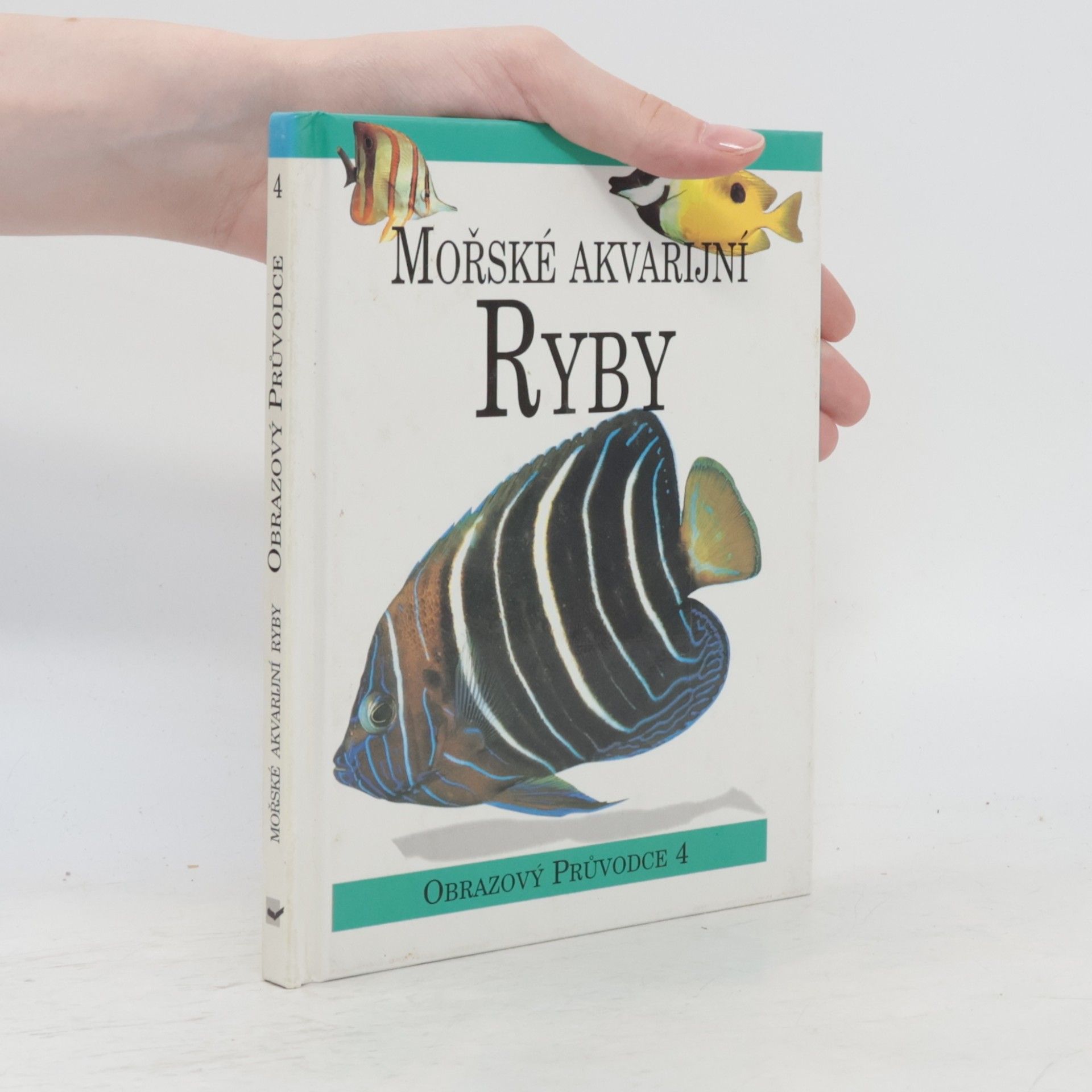 Magdalena Pechová Mořské akvarijní ryby