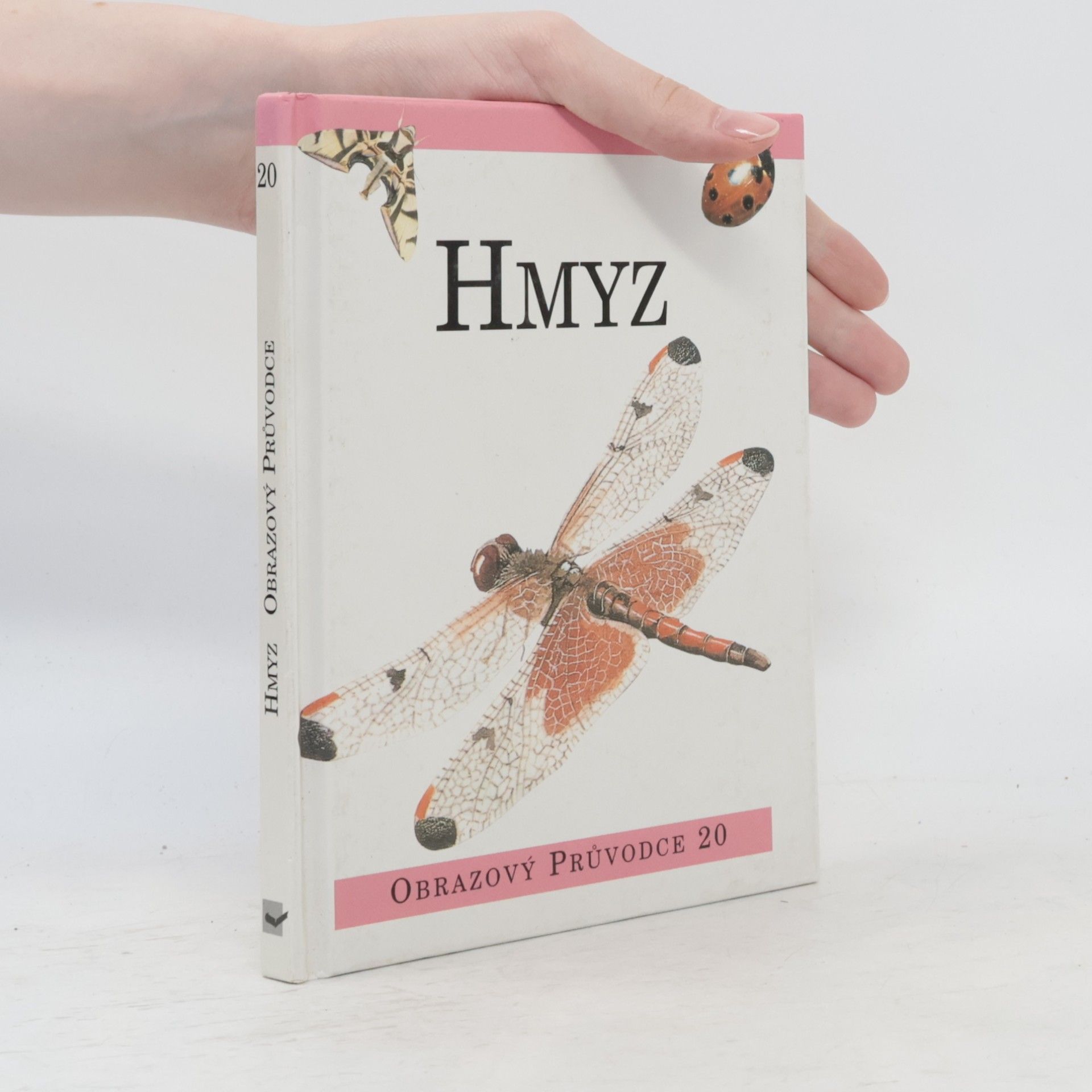 Hmyz