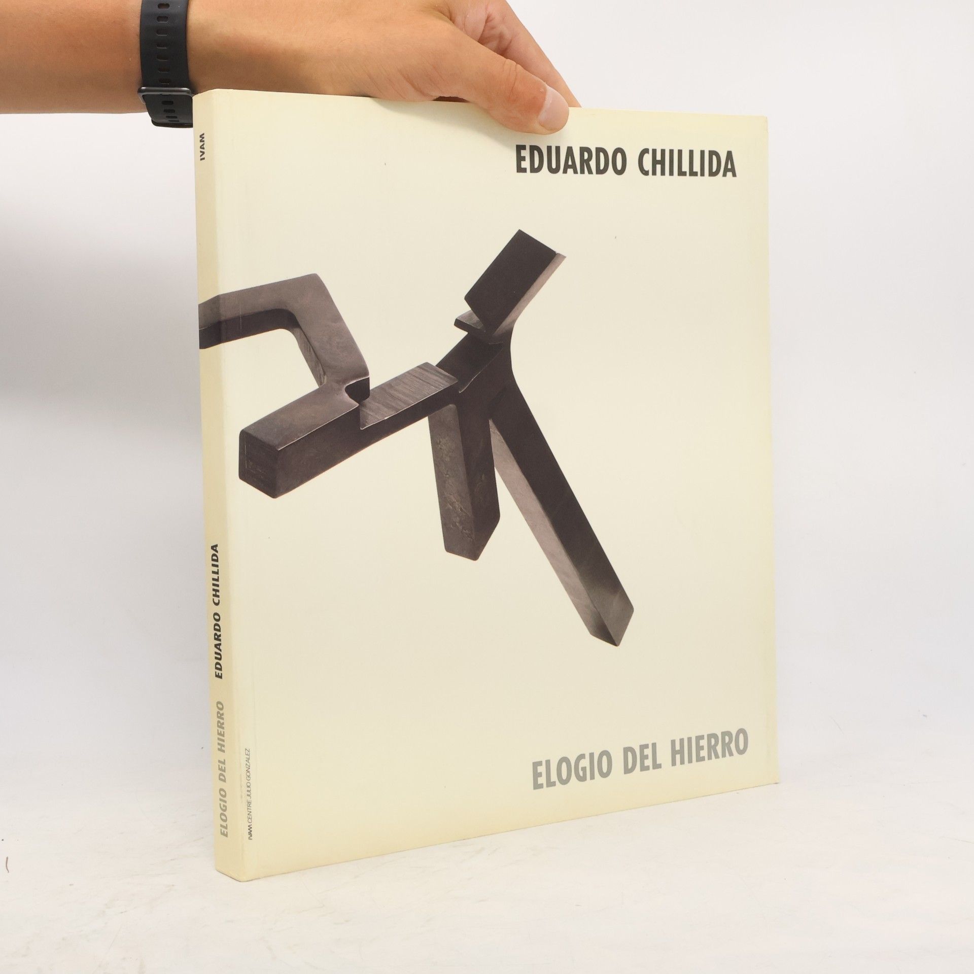 Elogio del hierro