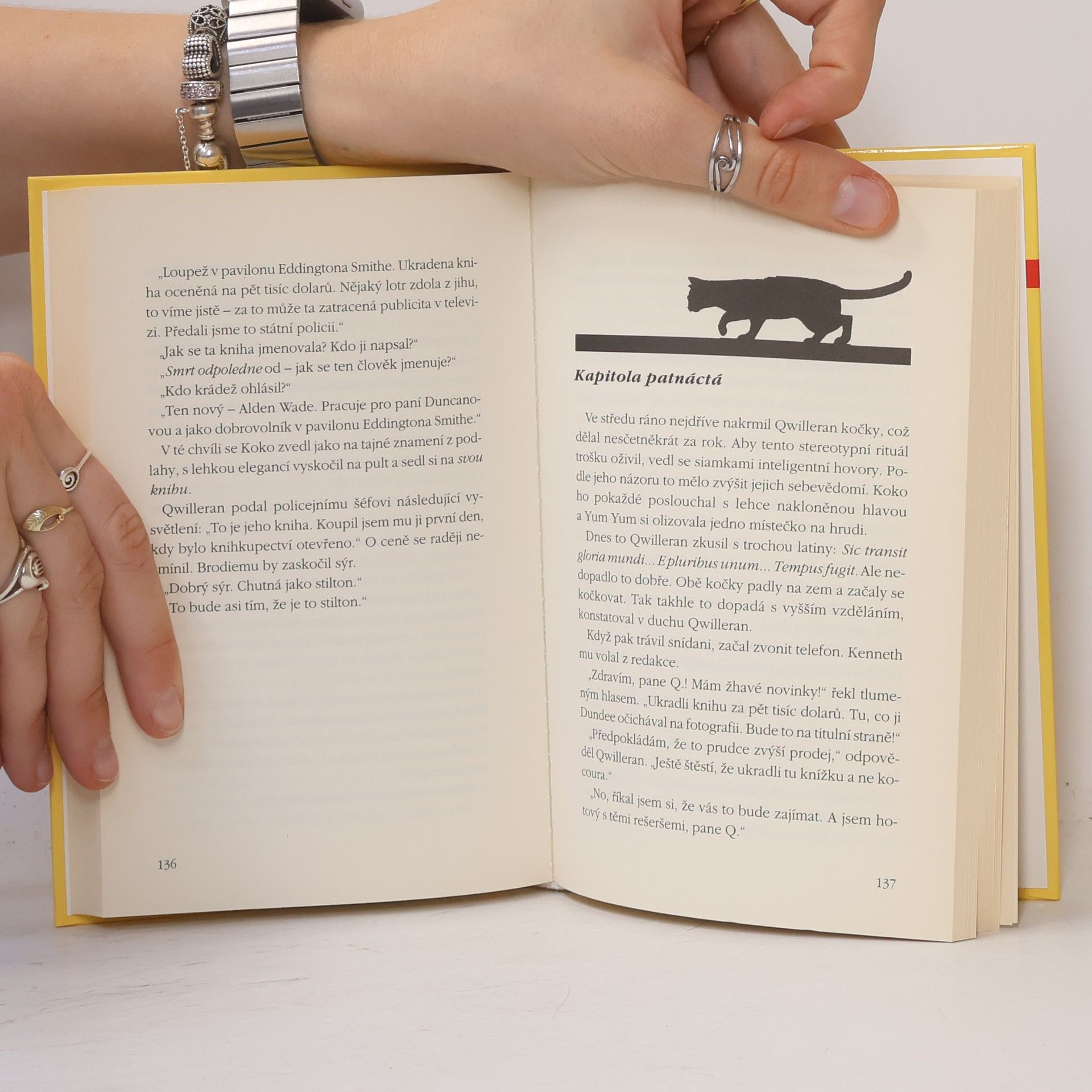 Lilian Jackson Braun Kočka, která se zbláznila