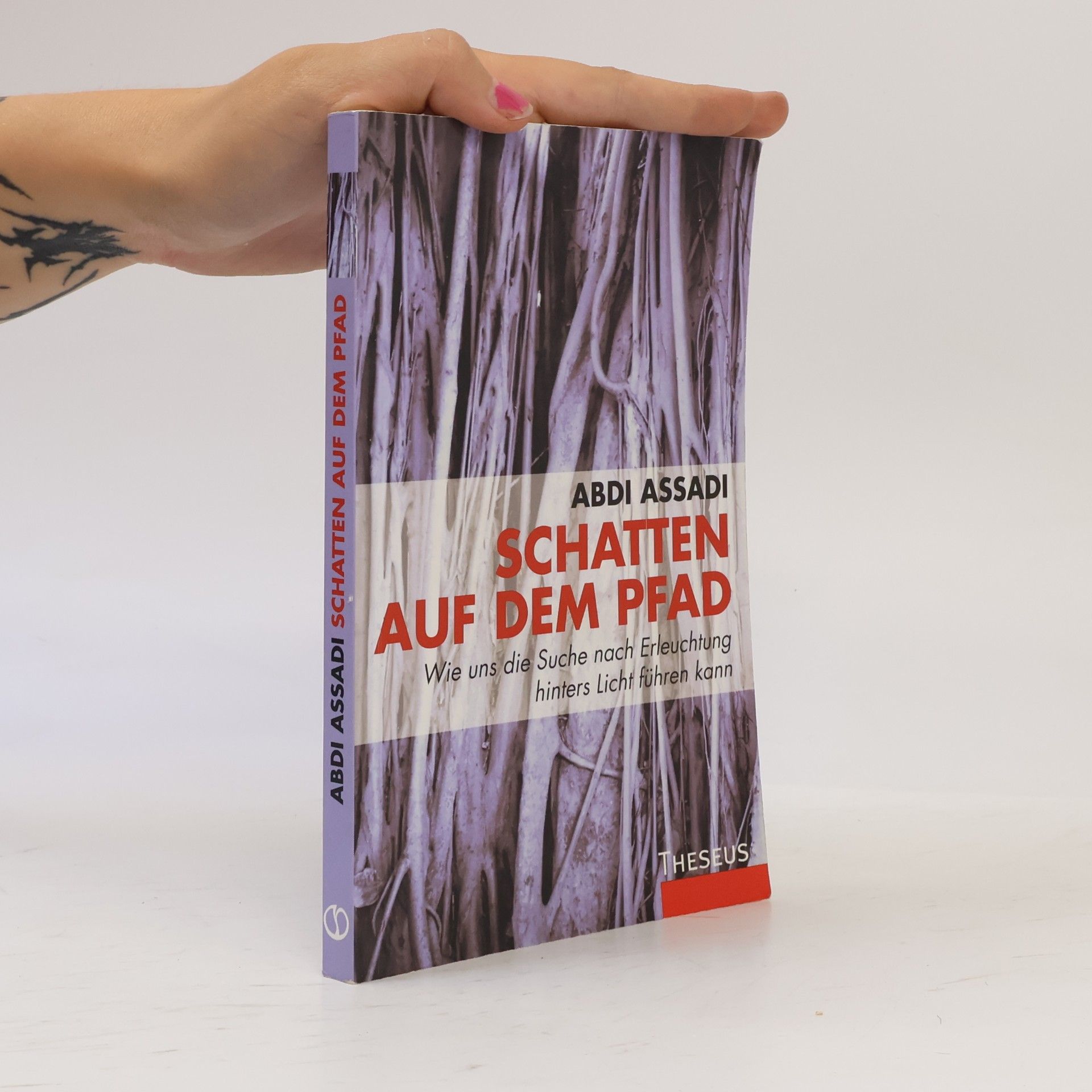 Abdi Assadi Schatten auf dem Pfad
