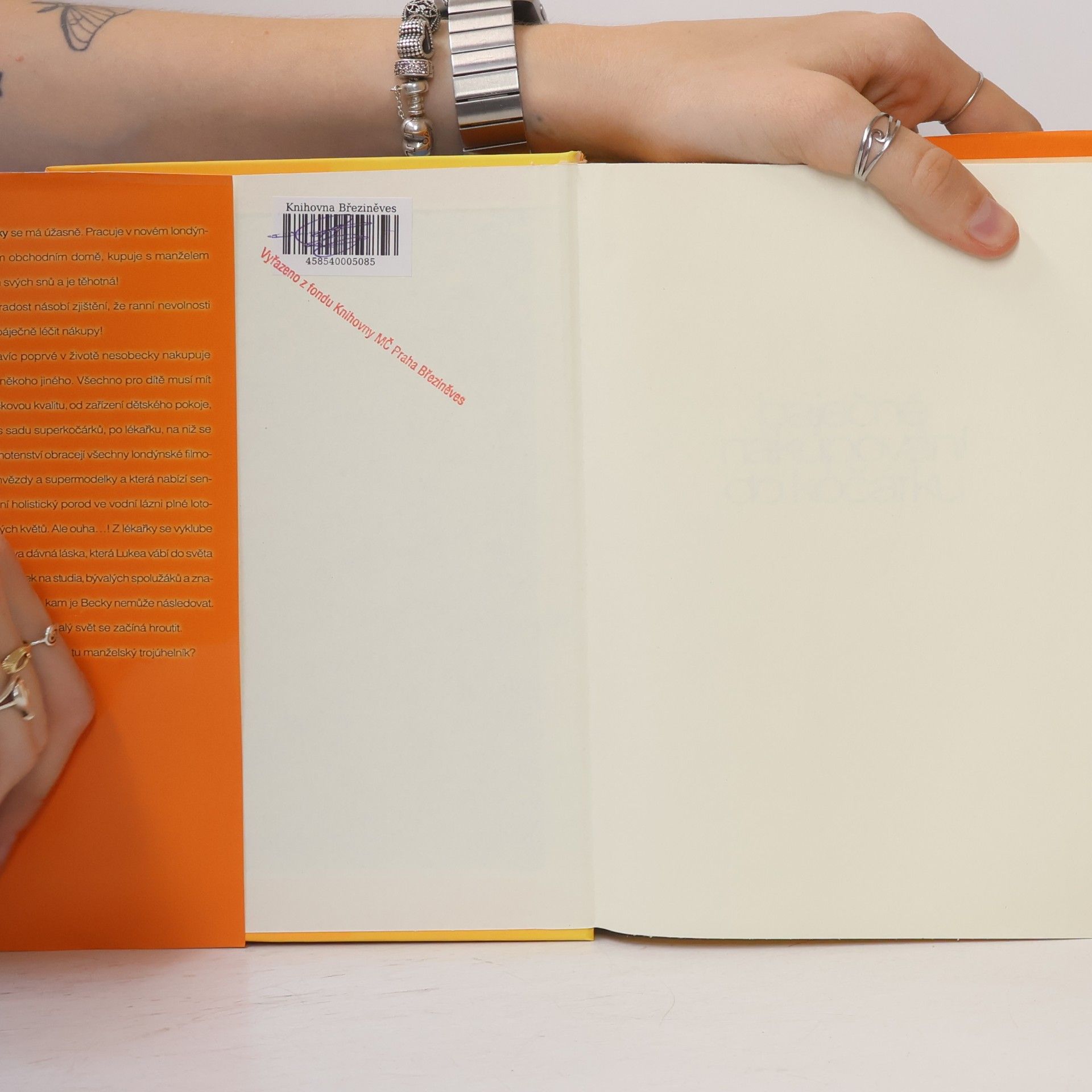 Sophie Kinsella Báječné nakupování do kočárku