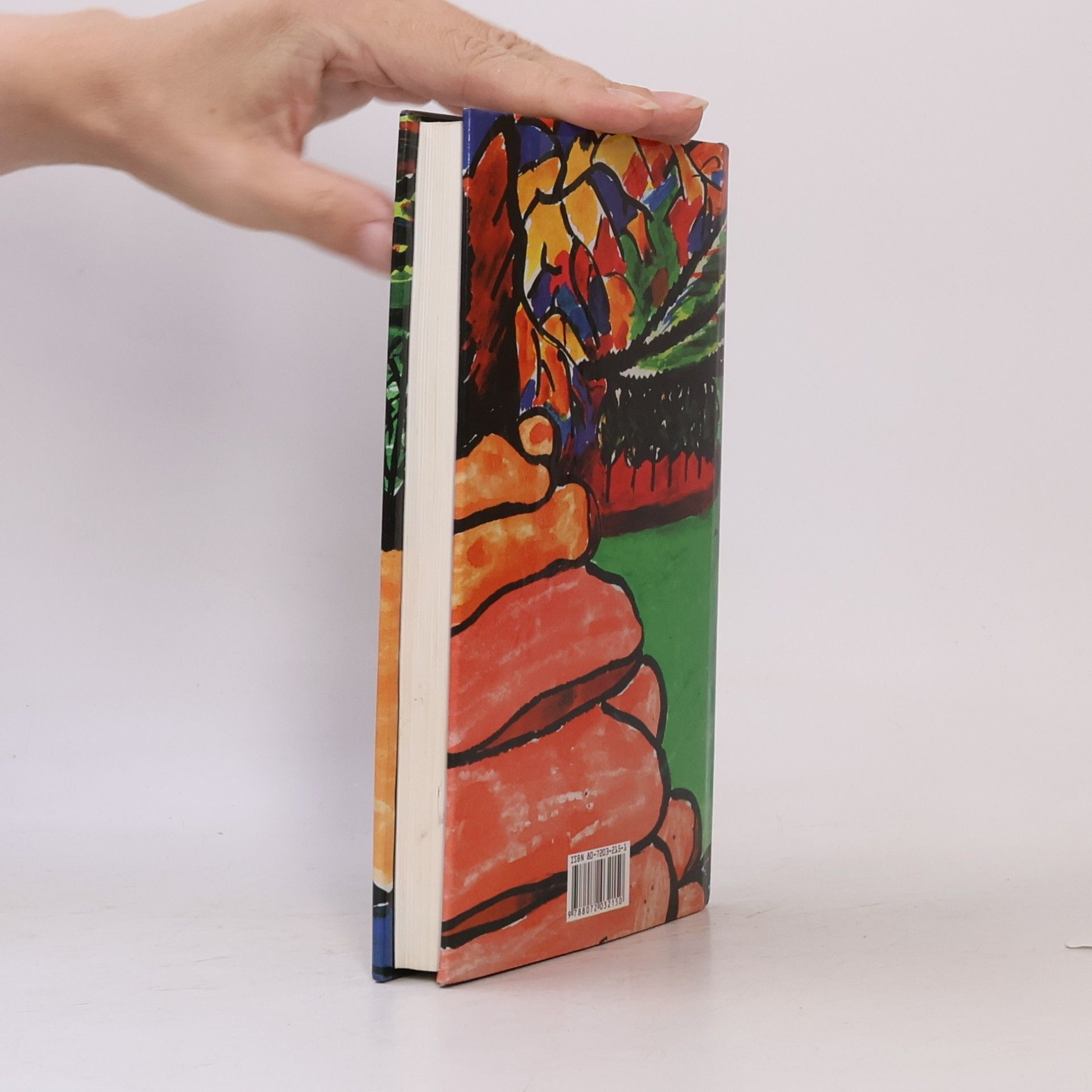 Mark Vonnegut Expres do ráje