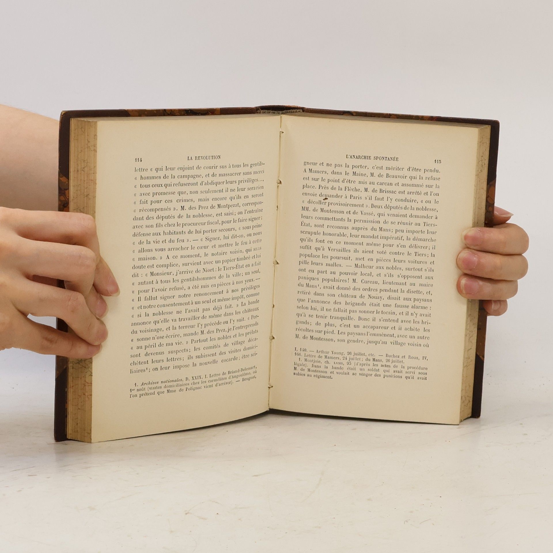 Hipppolyte Taine Les Origines de la France Contemporaine III.