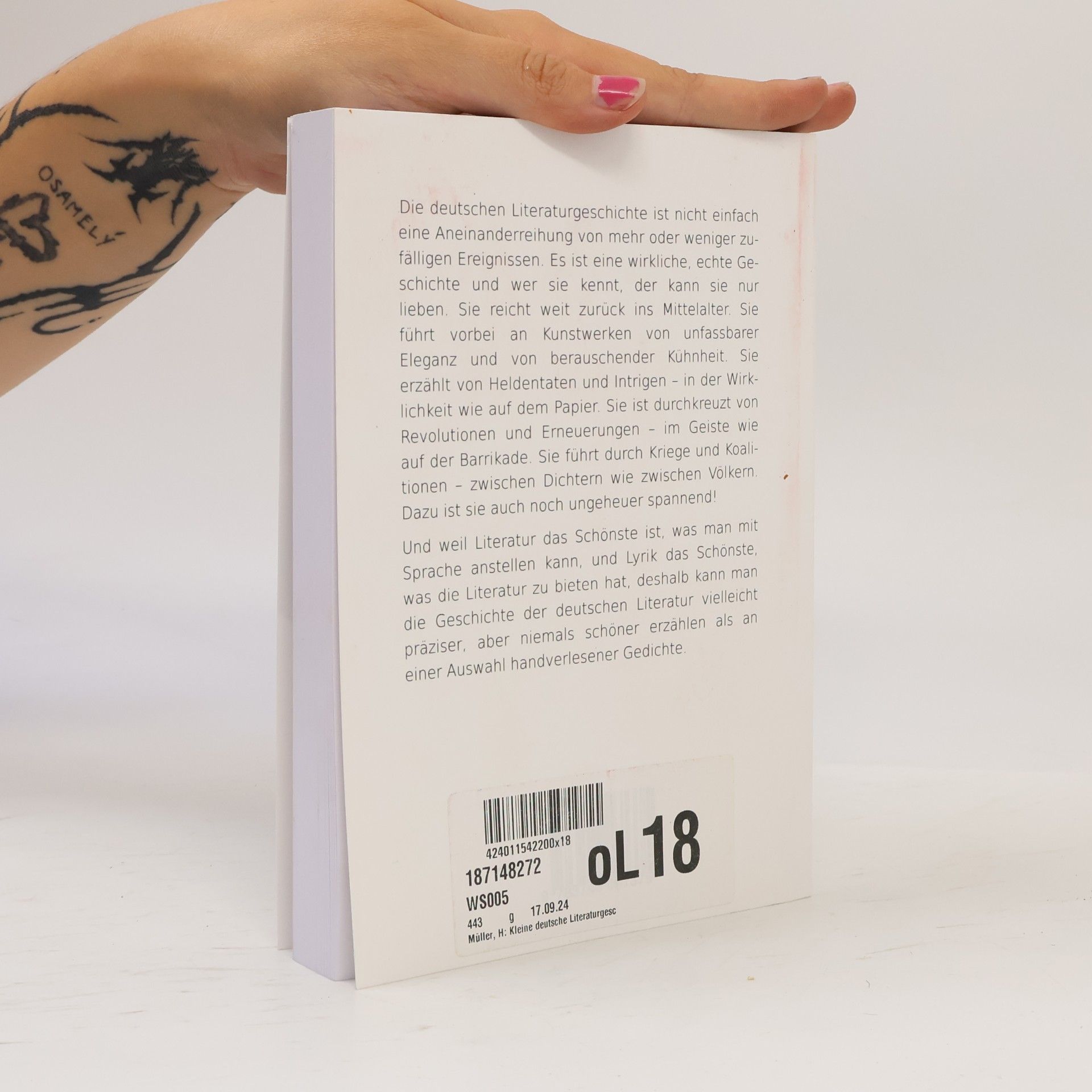 Hans-Georg Müller Kleine deutsche Literaturgeschichte