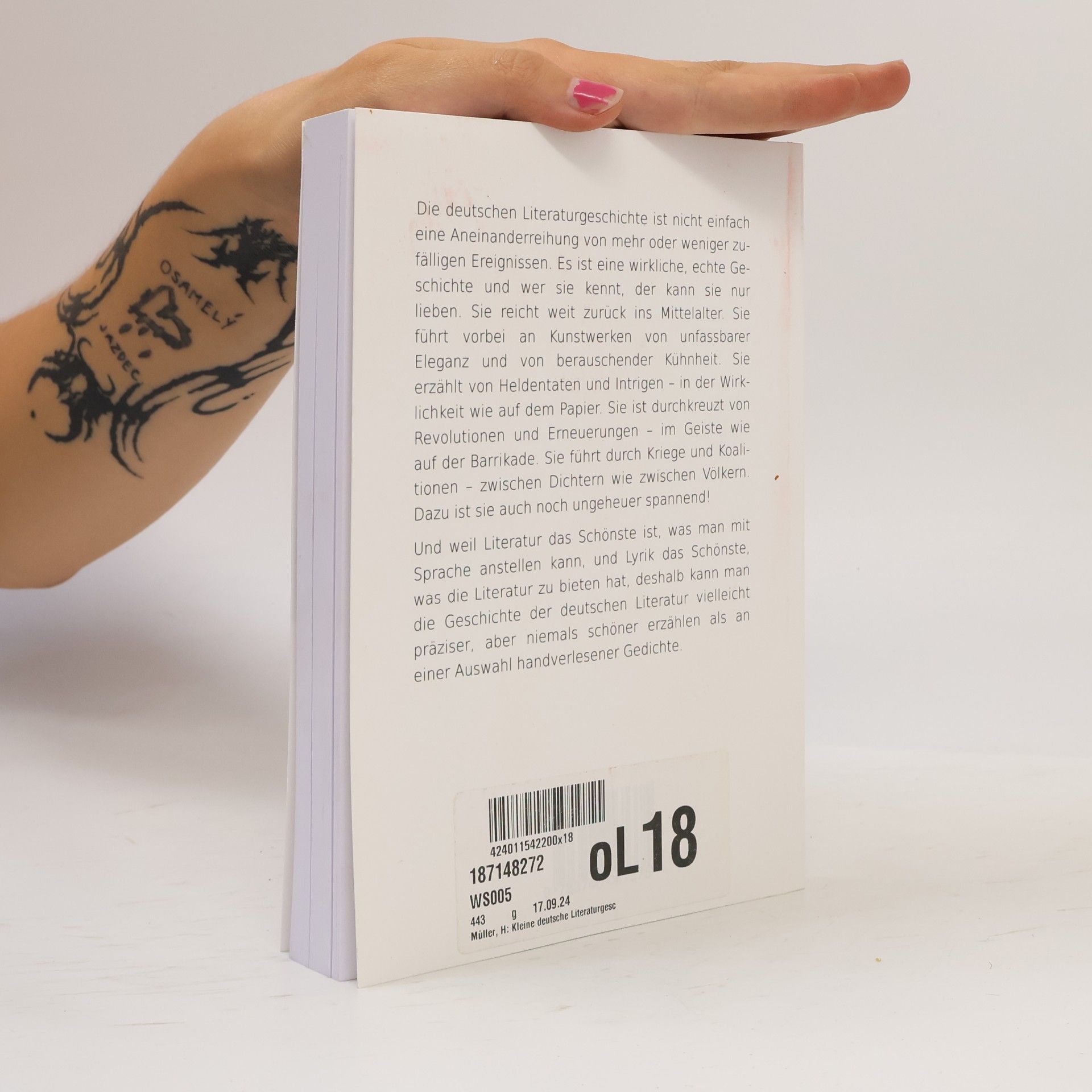 Hans-Georg Müller Kleine deutsche Literaturgeschichte