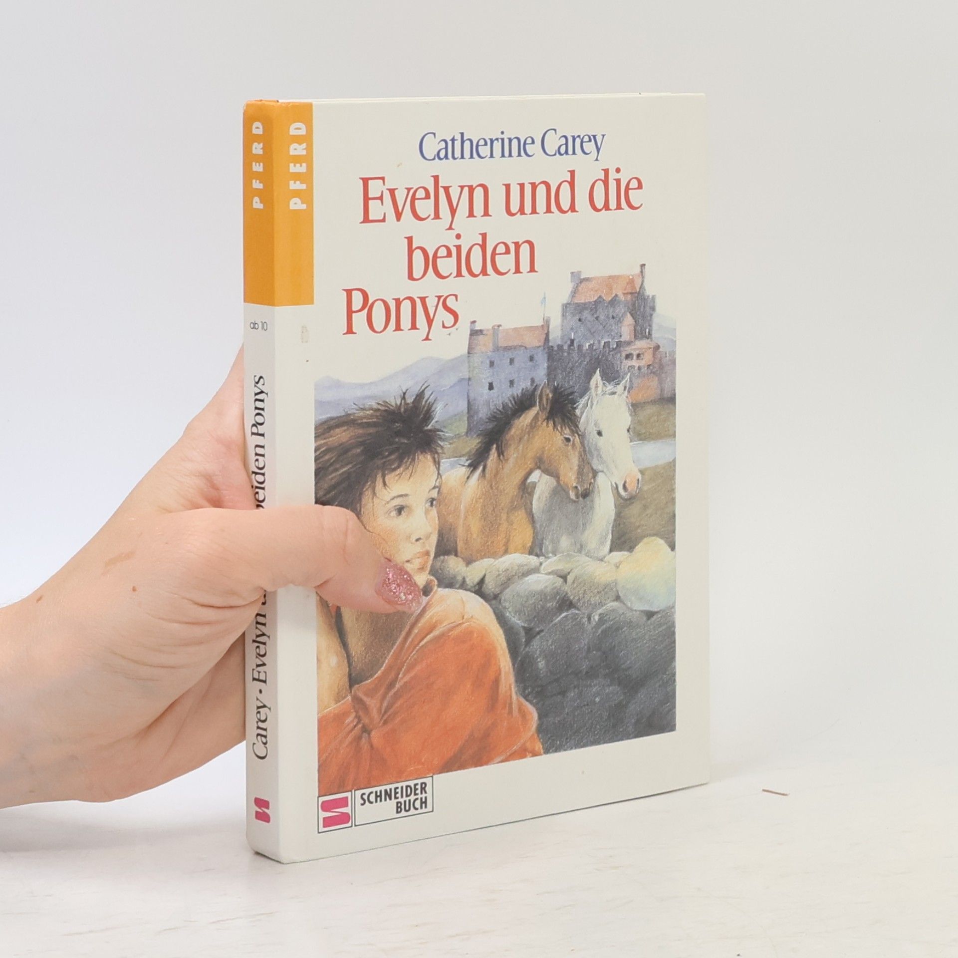 Evelyn und die beiden Ponys