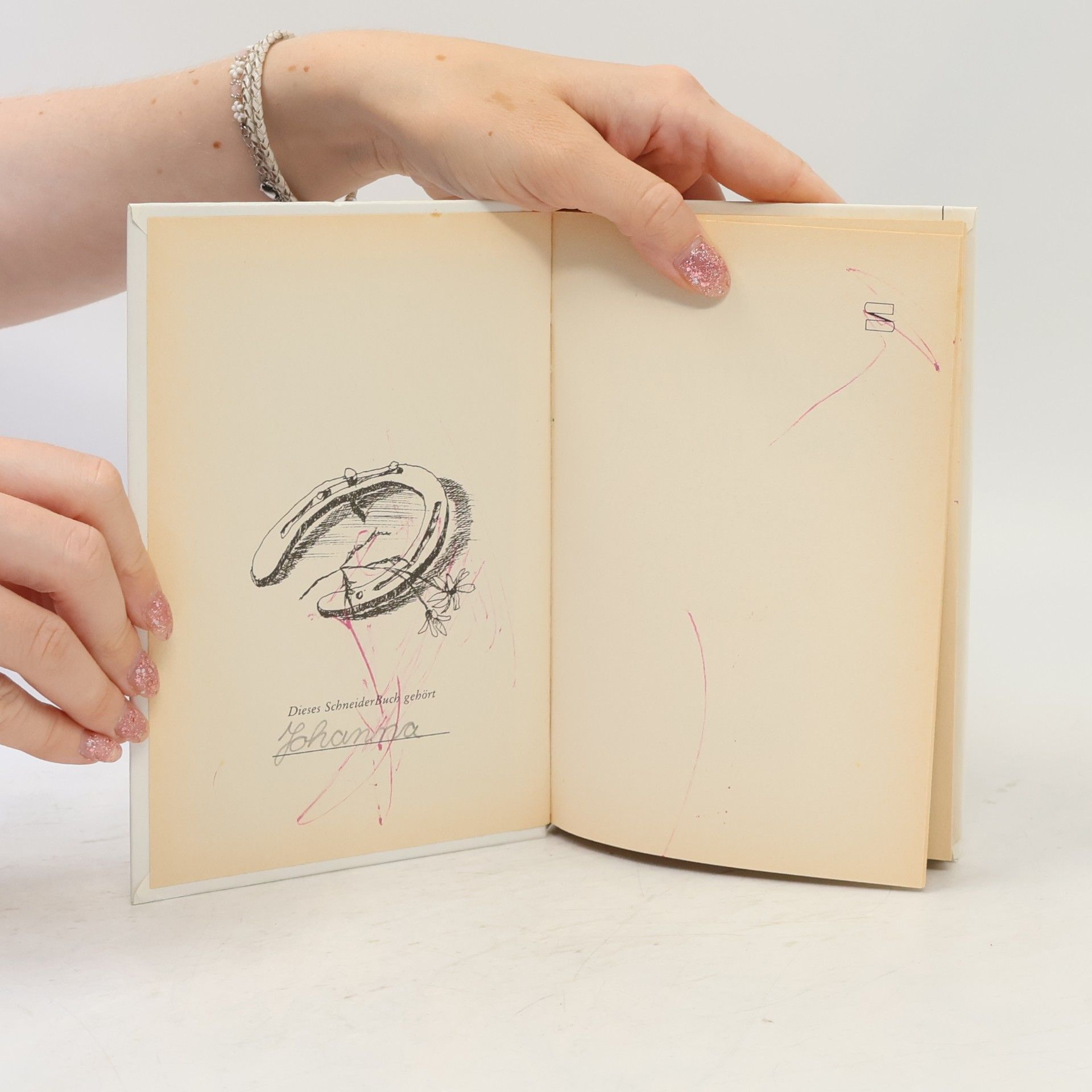 Catherine Carey Evelyn und die beiden Ponys