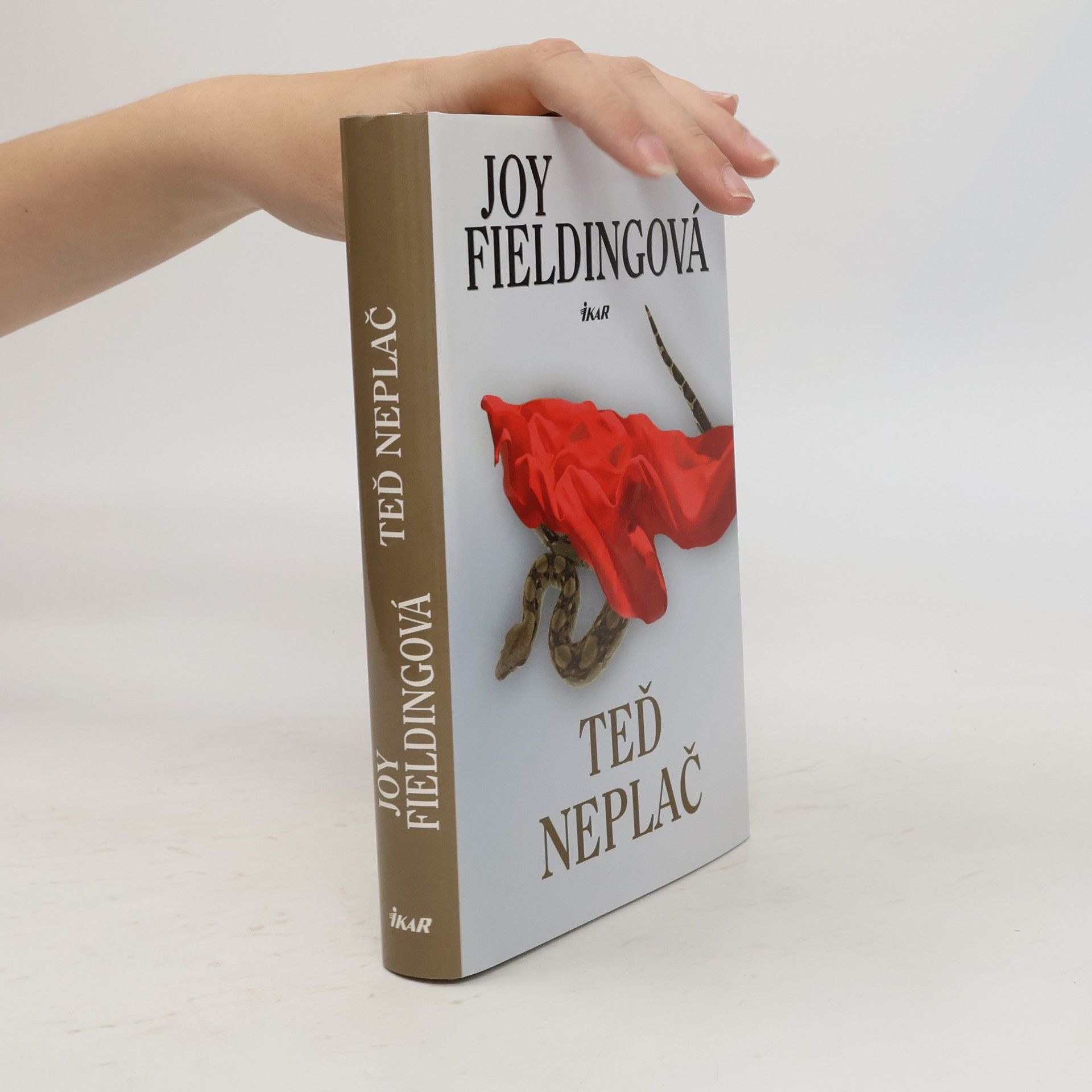 Joy Fielding Teď neplač
