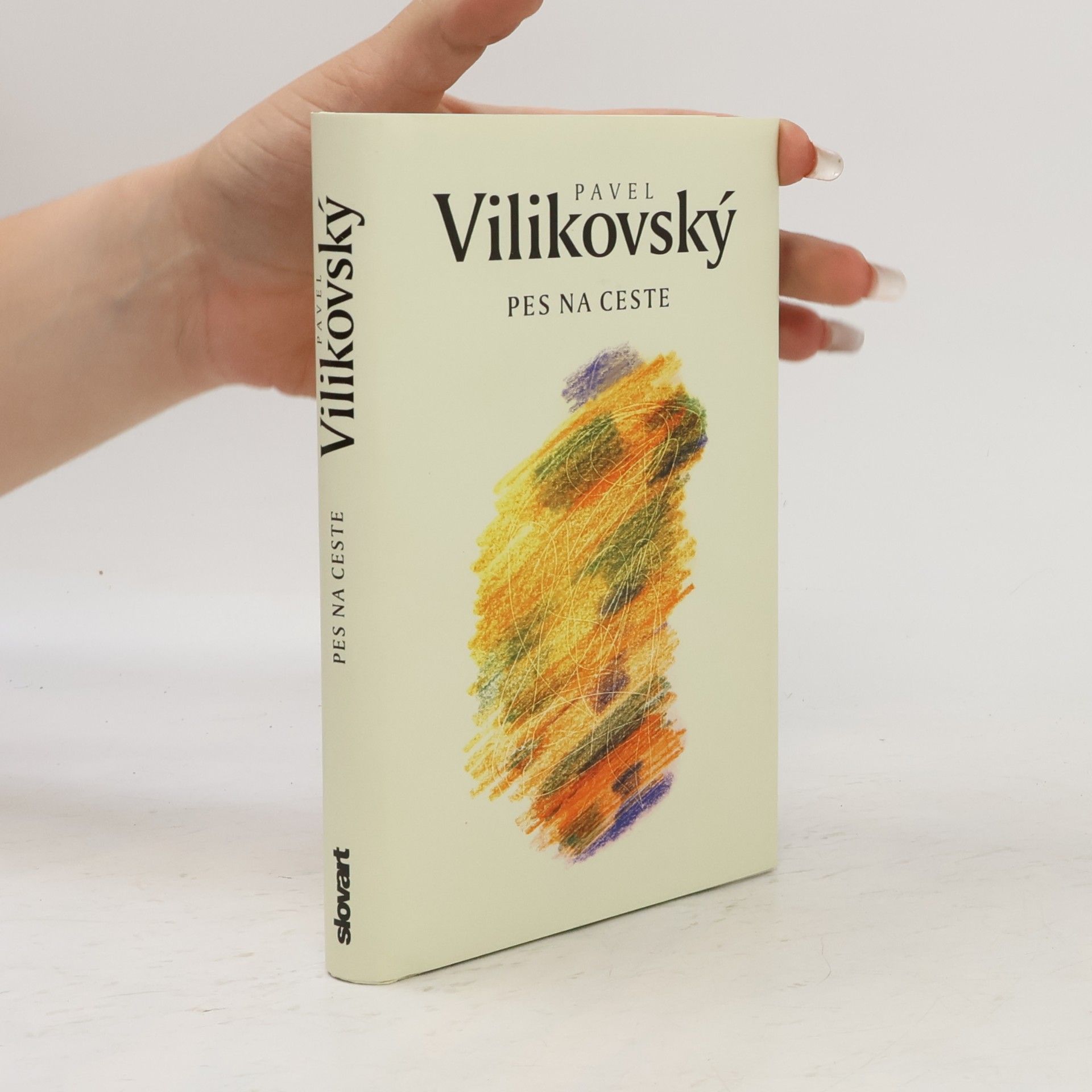 Pavel Vilikovský Pes na ceste