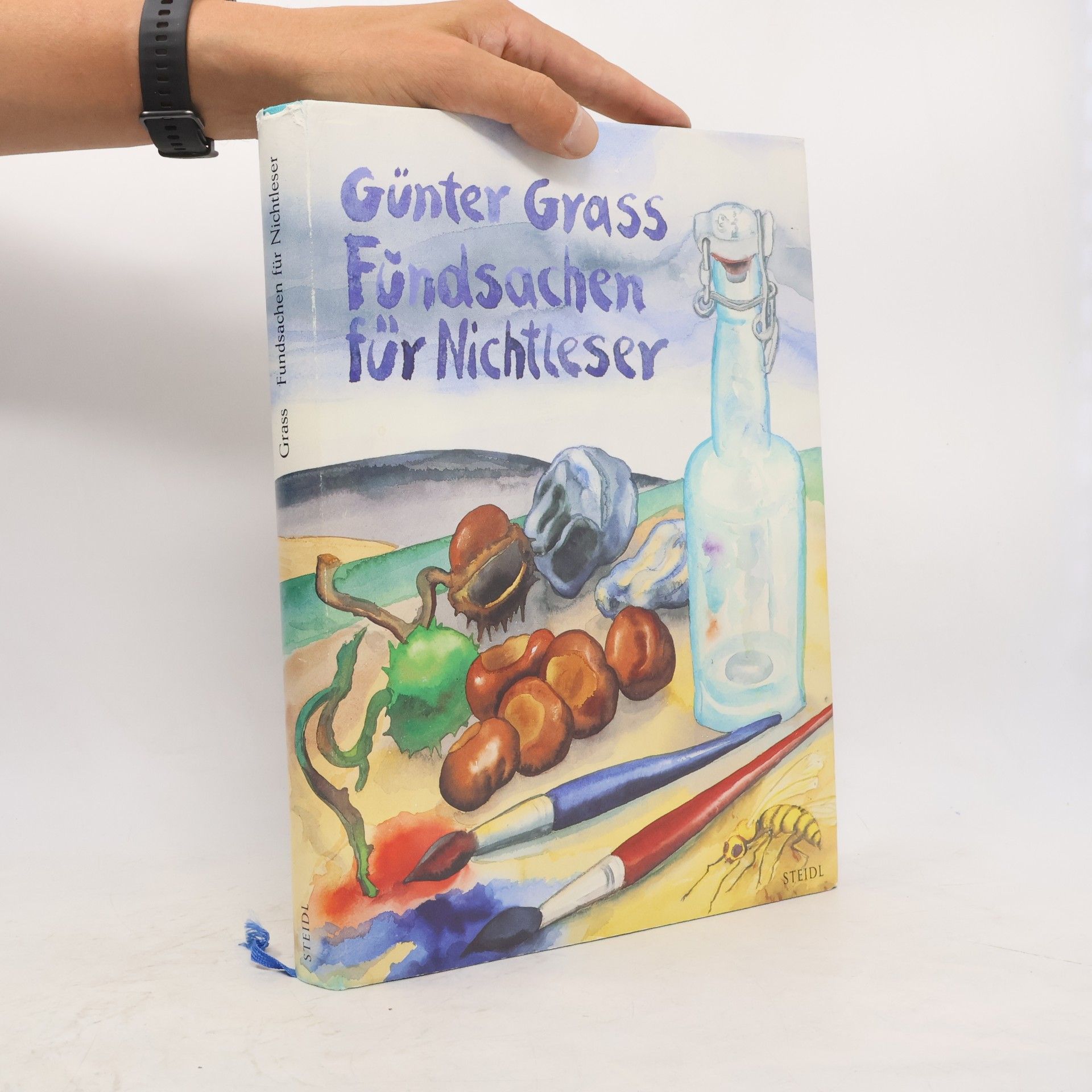 Günter Grass Fundsachen für Nichtleser