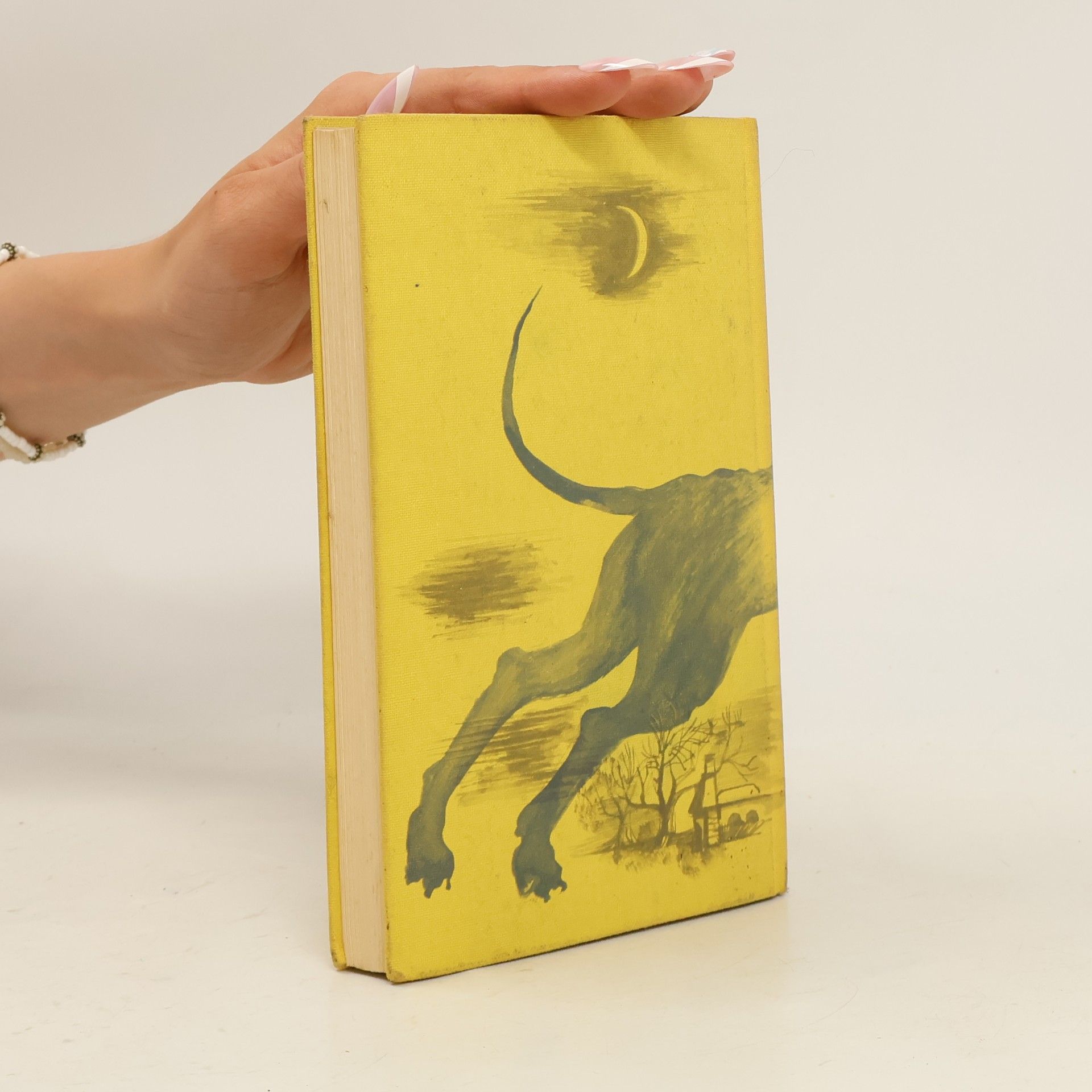 Arthur Conan Doyle Der Hund von Baskerville