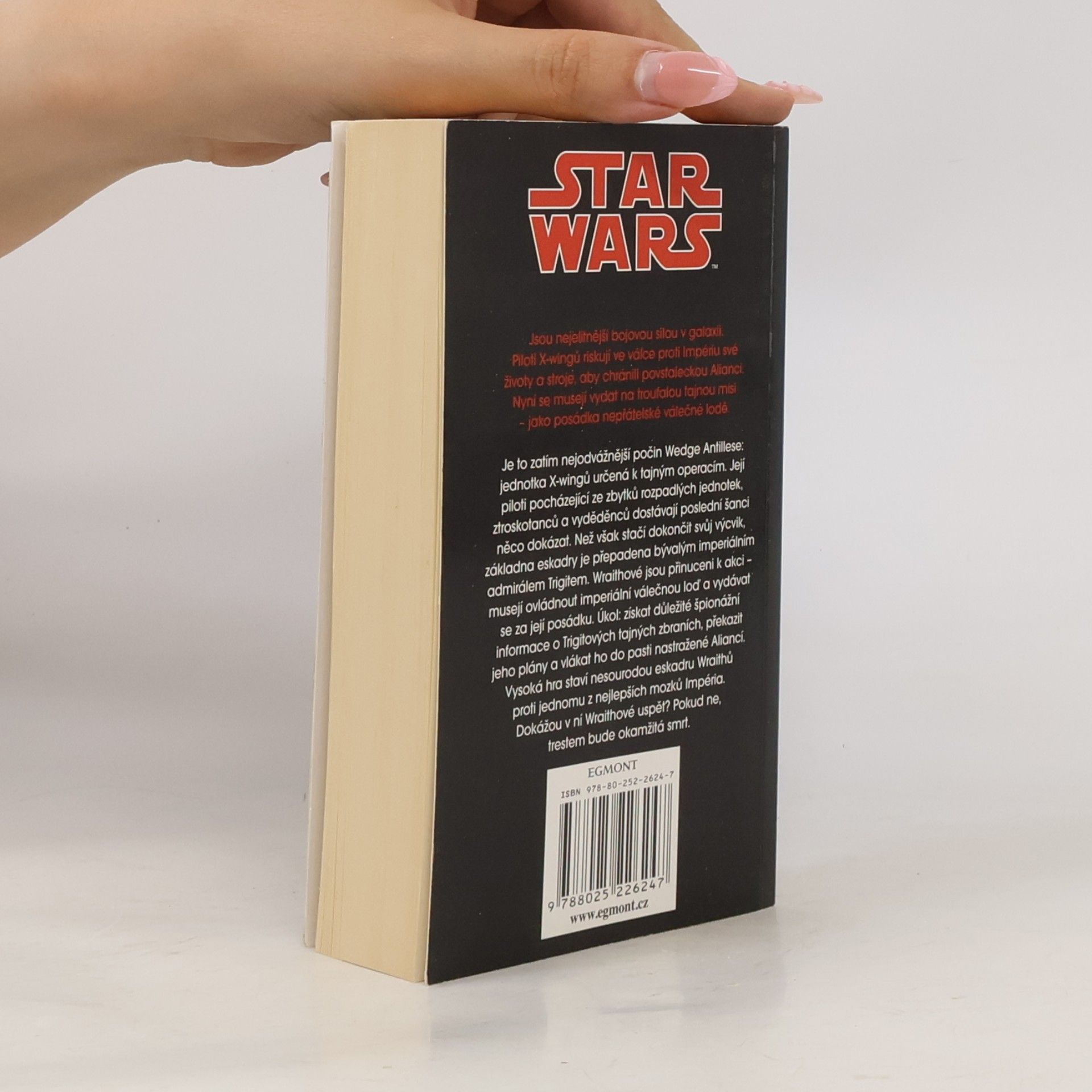 Aaron Allston Star Wars: X-Wing. Kniha pátá, Eskadra Wraith