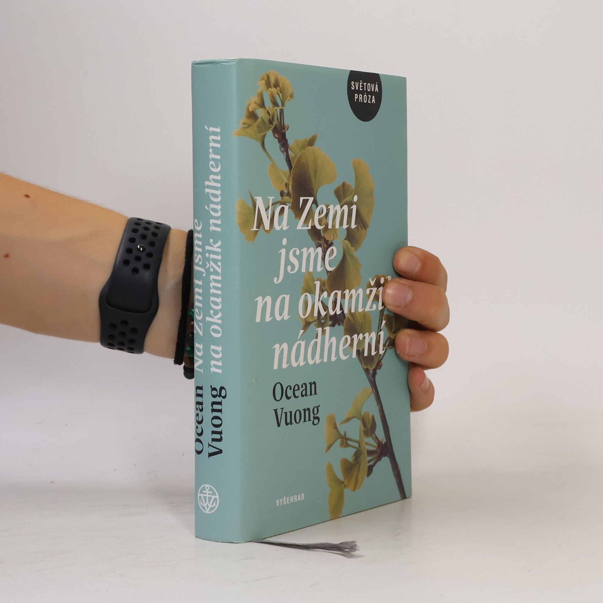 Ocean Vuong Na Zemi jsme na okamžik nádherní