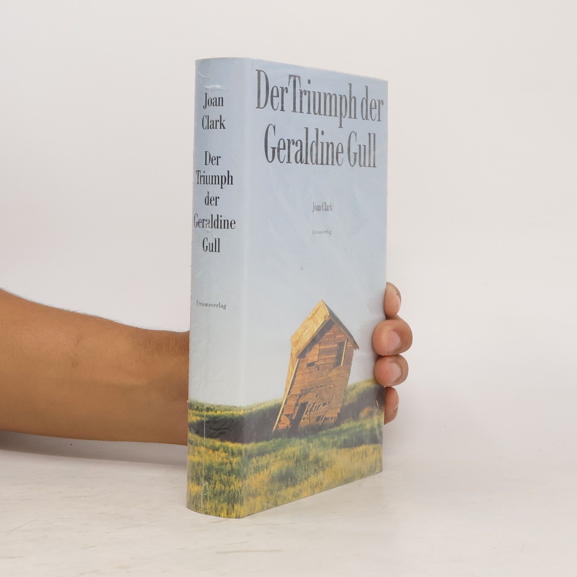 Joan Clark Der Triumph der Geraldine Gull