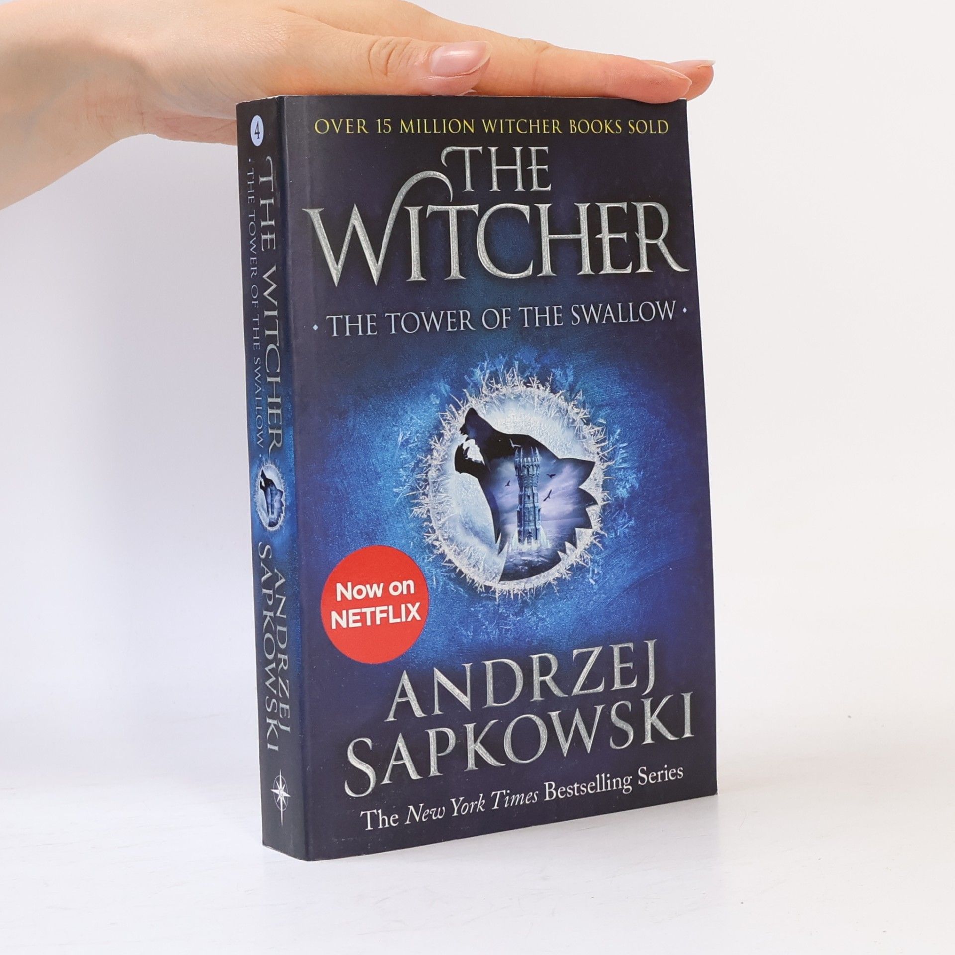 Andrzej Sapkowski The Tower of the Swallow
