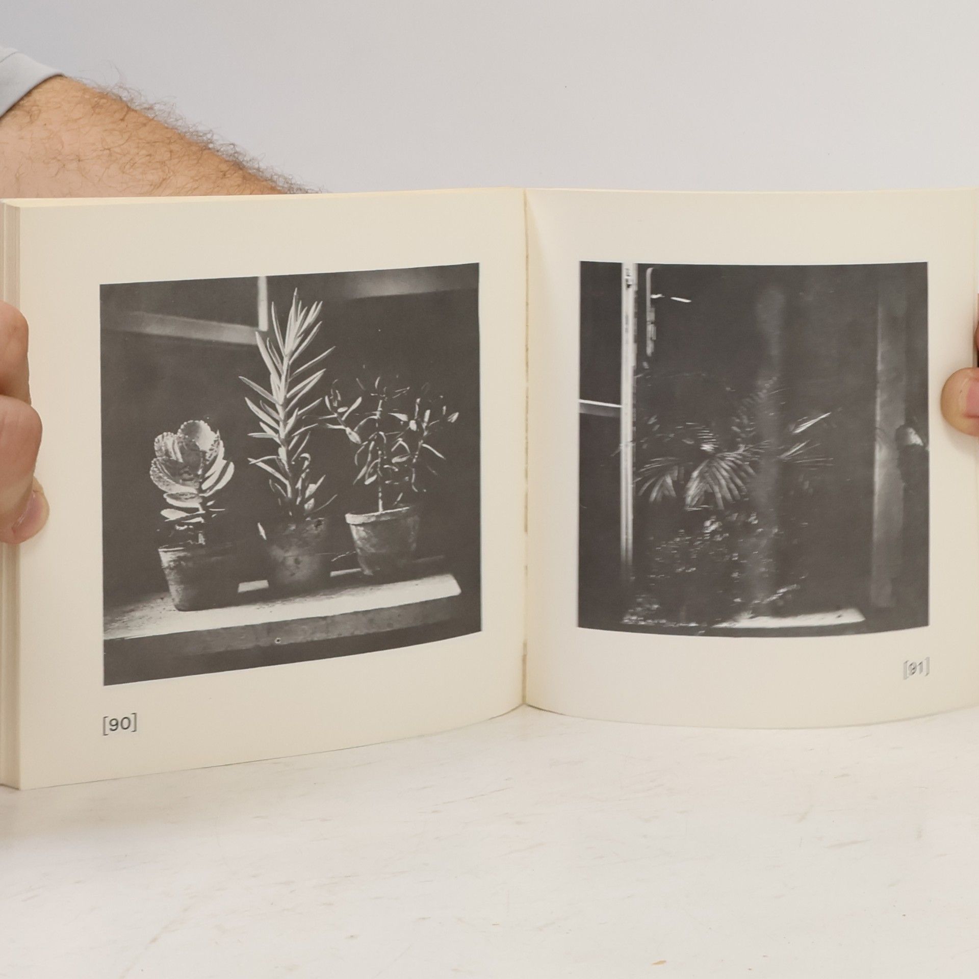 Petr Koháček Karel Čapek fotografuje...