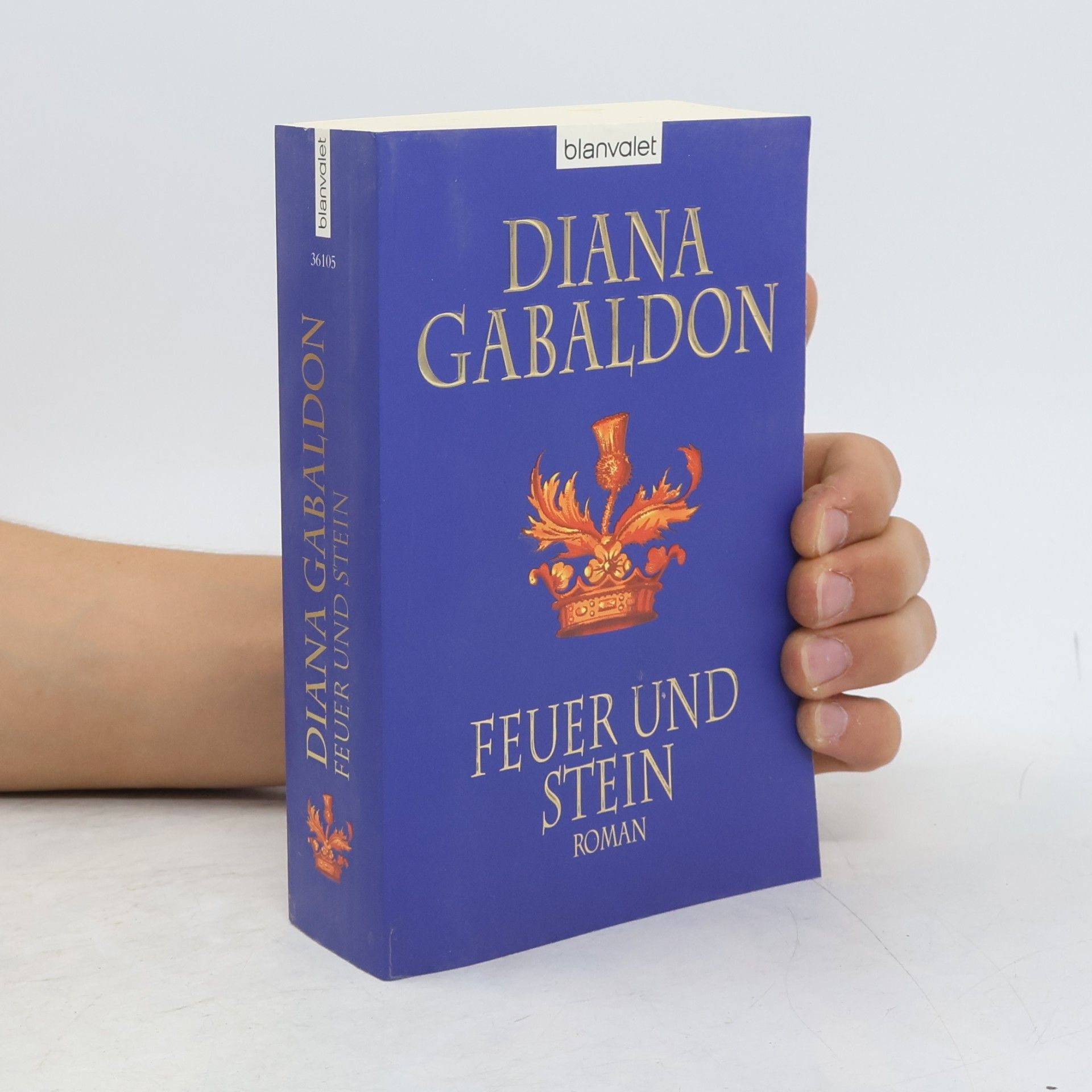 Diana Gabaldon Feuer und Stein