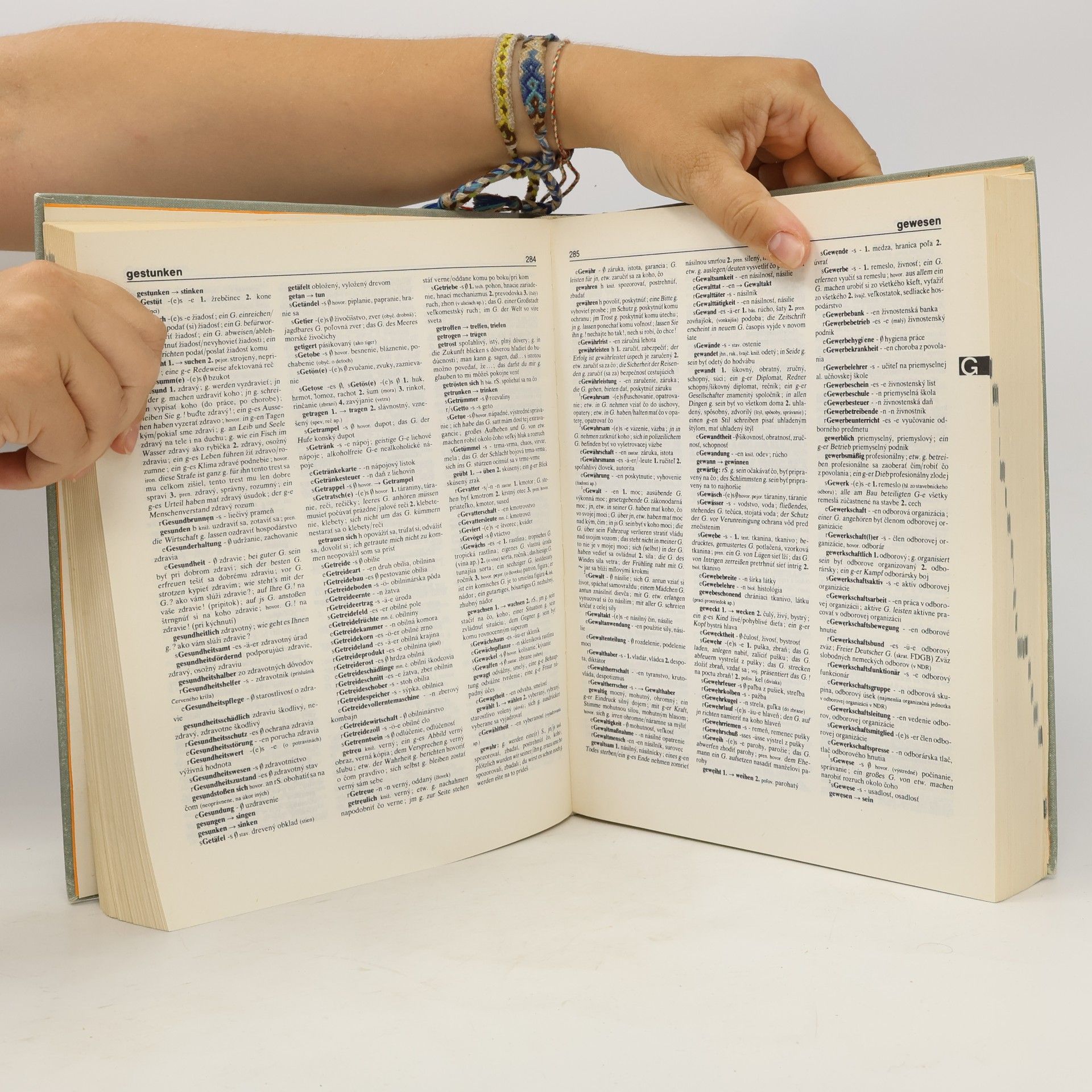 Mária Čierna Nemecko-slovenský slovník. Deutsch-slowakisches Wörterbuch