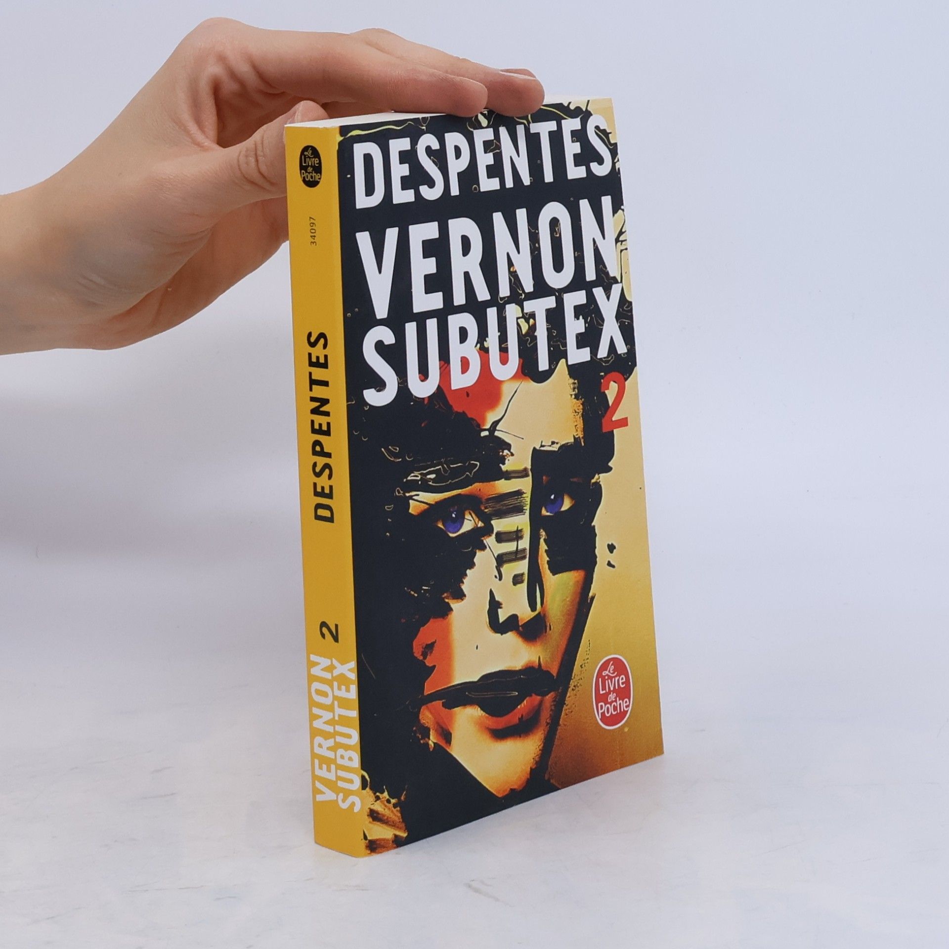 Virginie Despentes Vernon Subutex 2