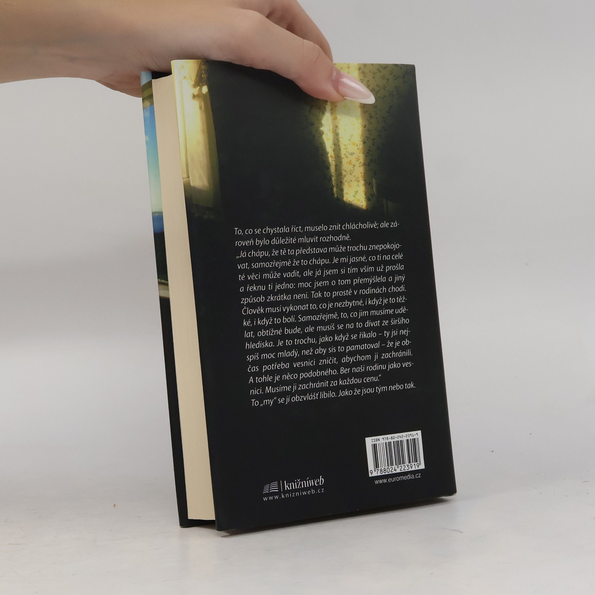 Linwood Barclay Na loučení nebyl čas