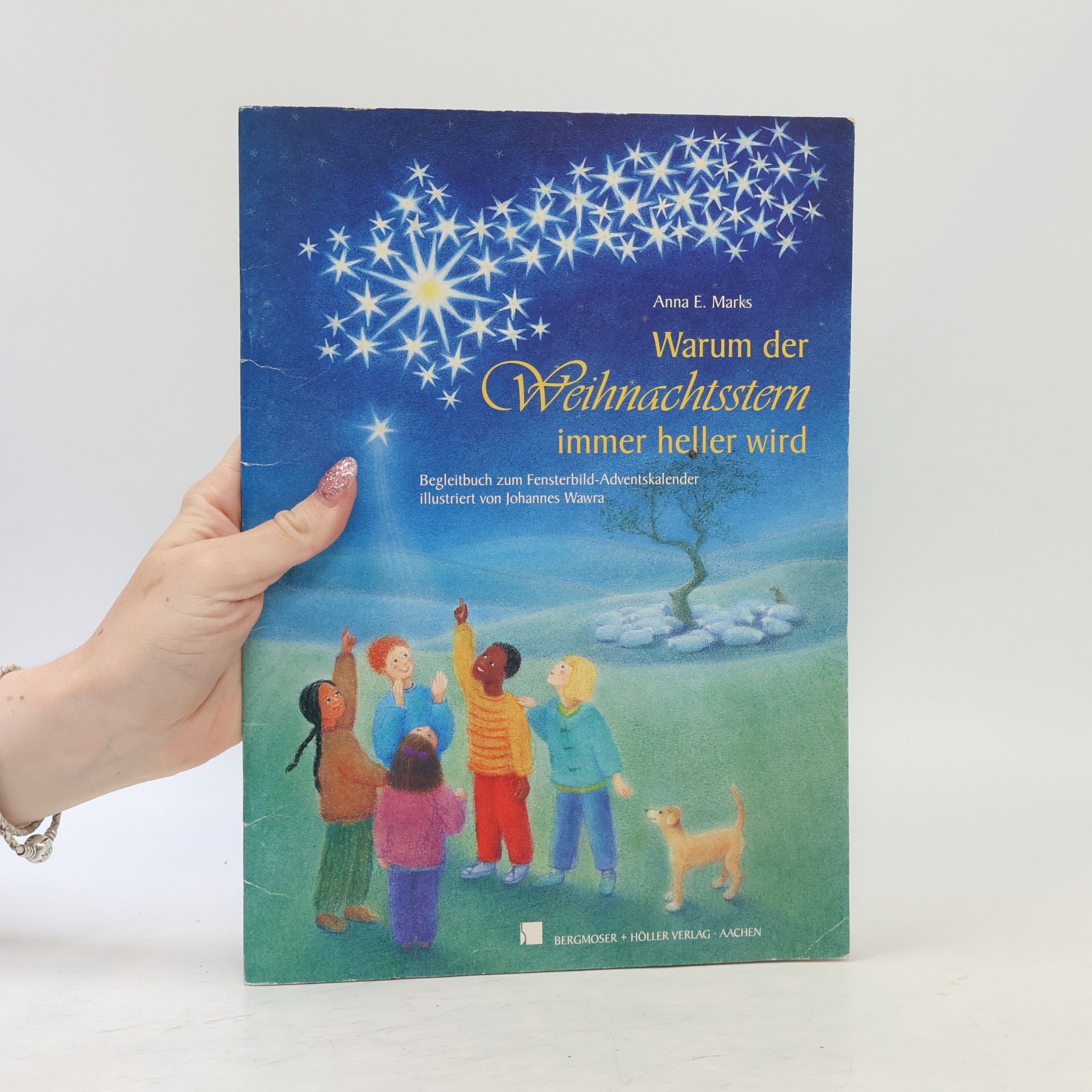 Anna E. Marks Warum der Weihnachtsstern immer heller wird