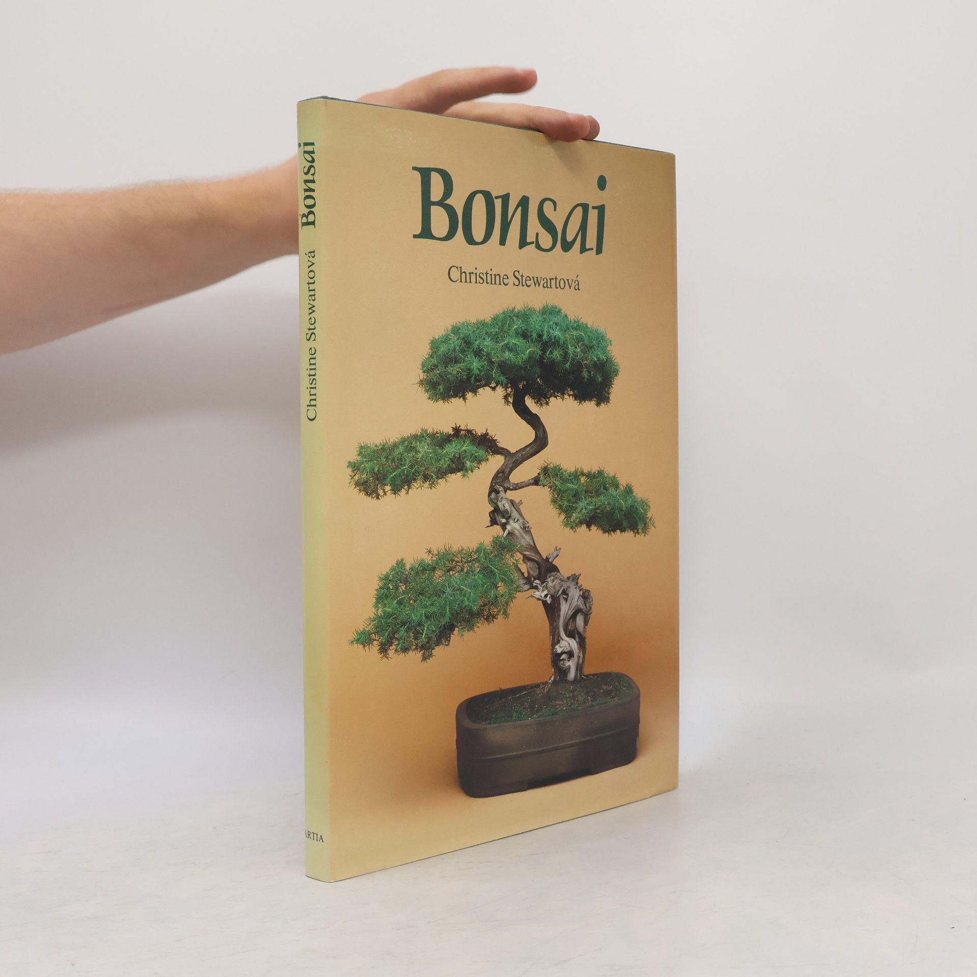 Christine Stewart Bonsai