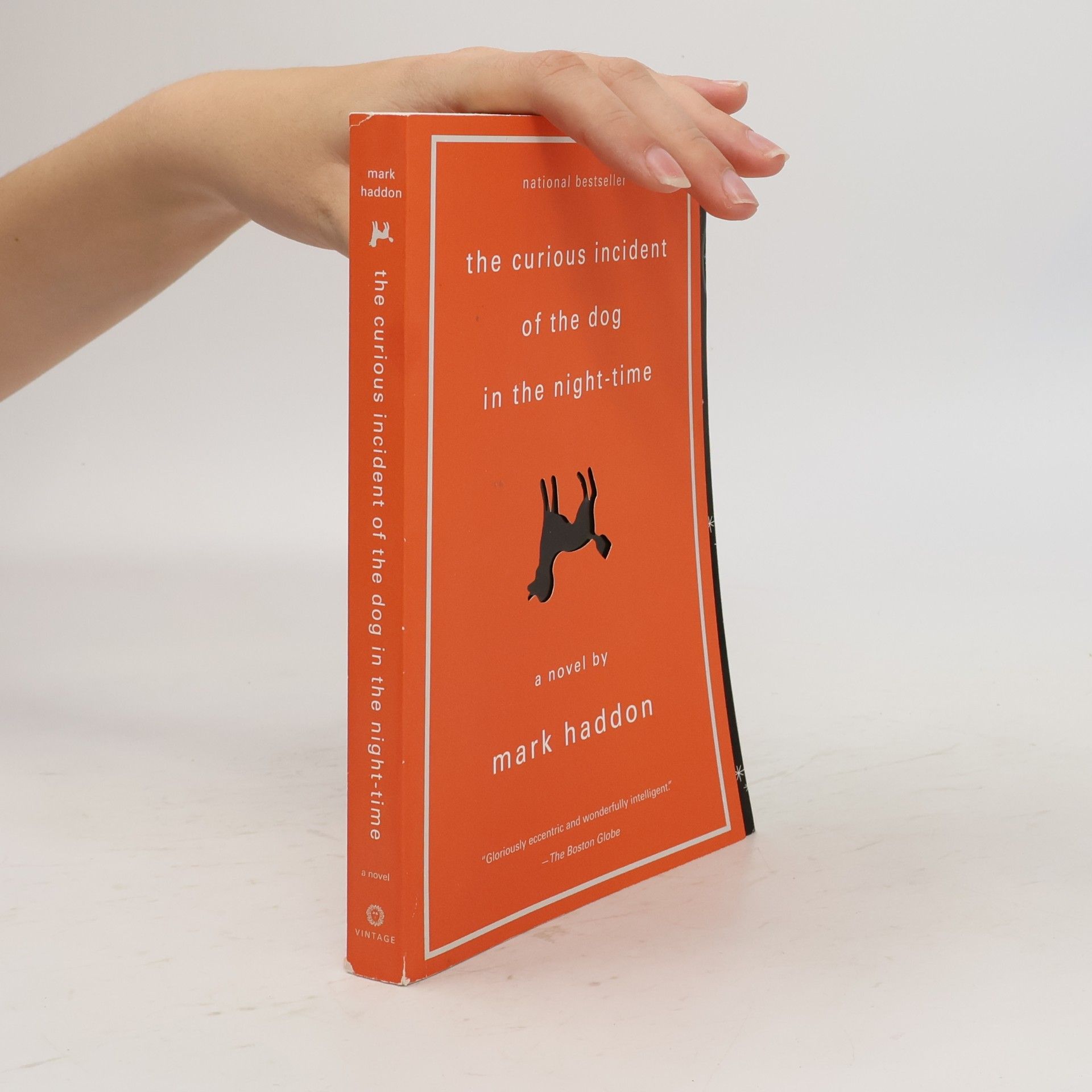 Mark Haddon The Curious Incident of the Dog in the Night-time