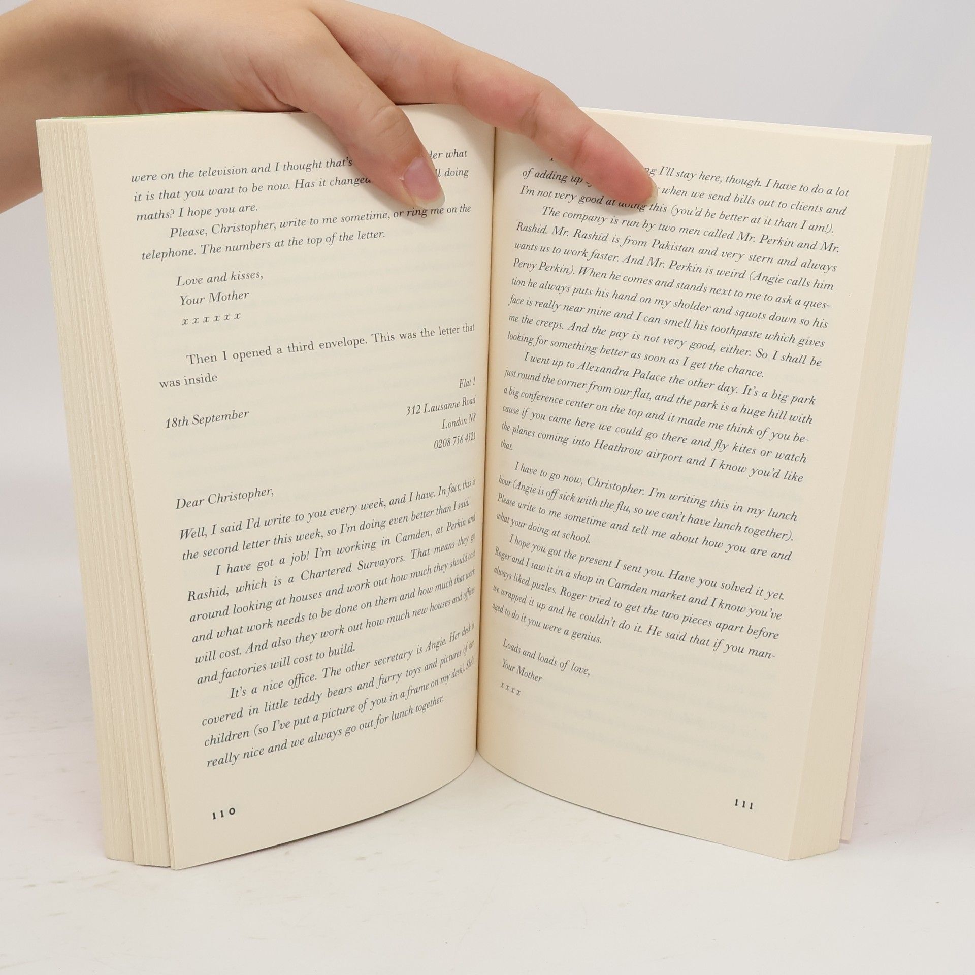 Mark Haddon The Curious Incident of the Dog in the Night-time