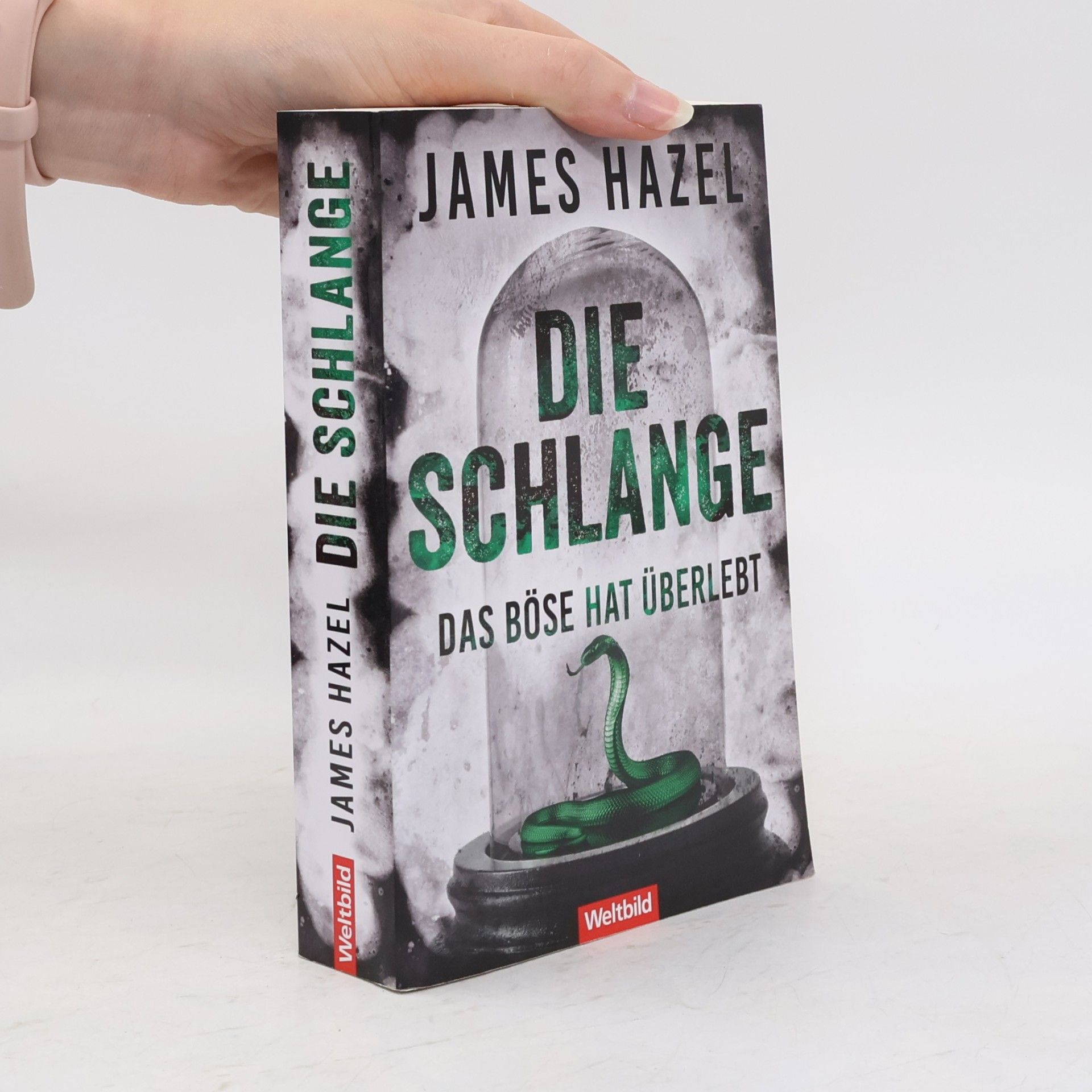 James Hazel Die Schlange - das Böse hat überlebt