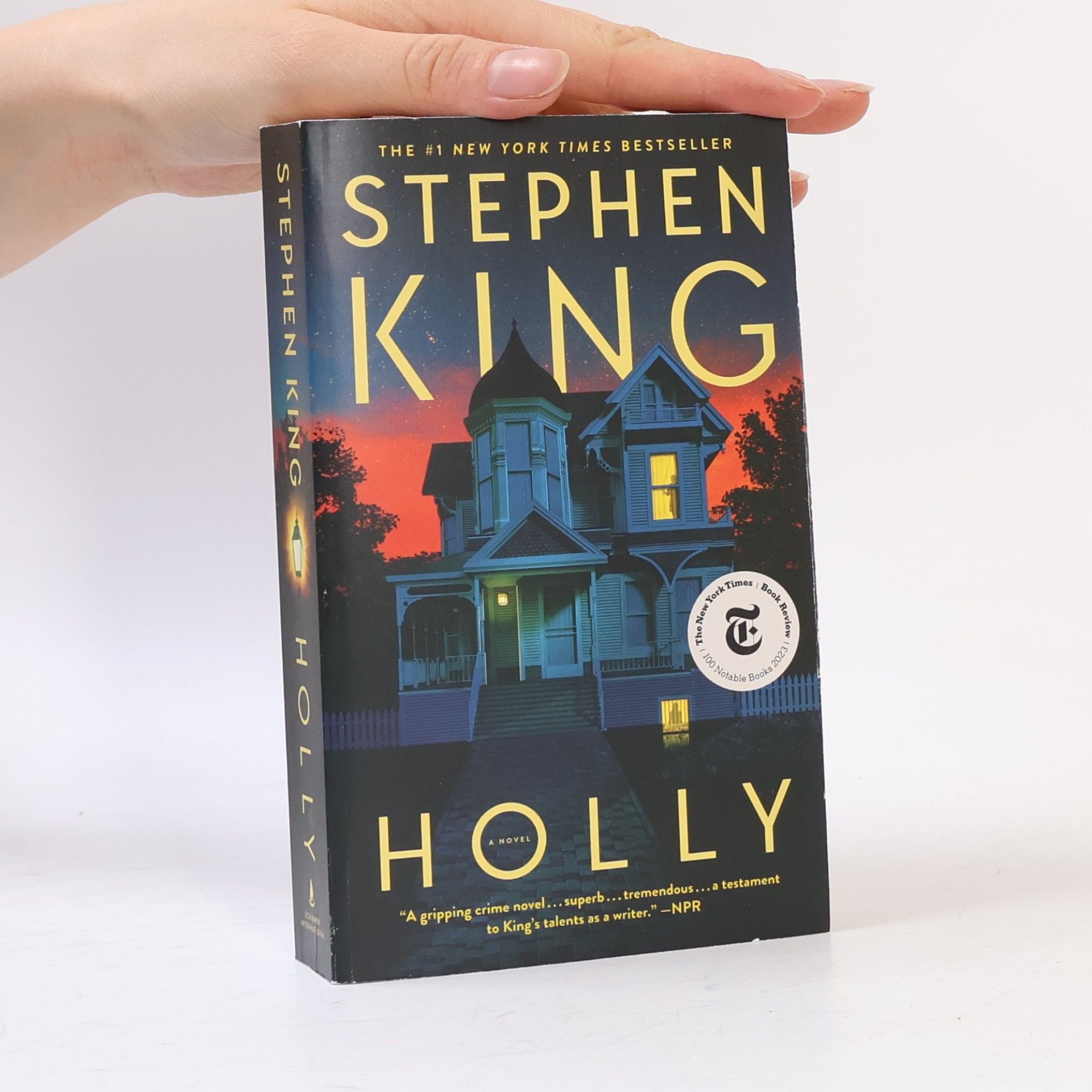 Stephen King Holly