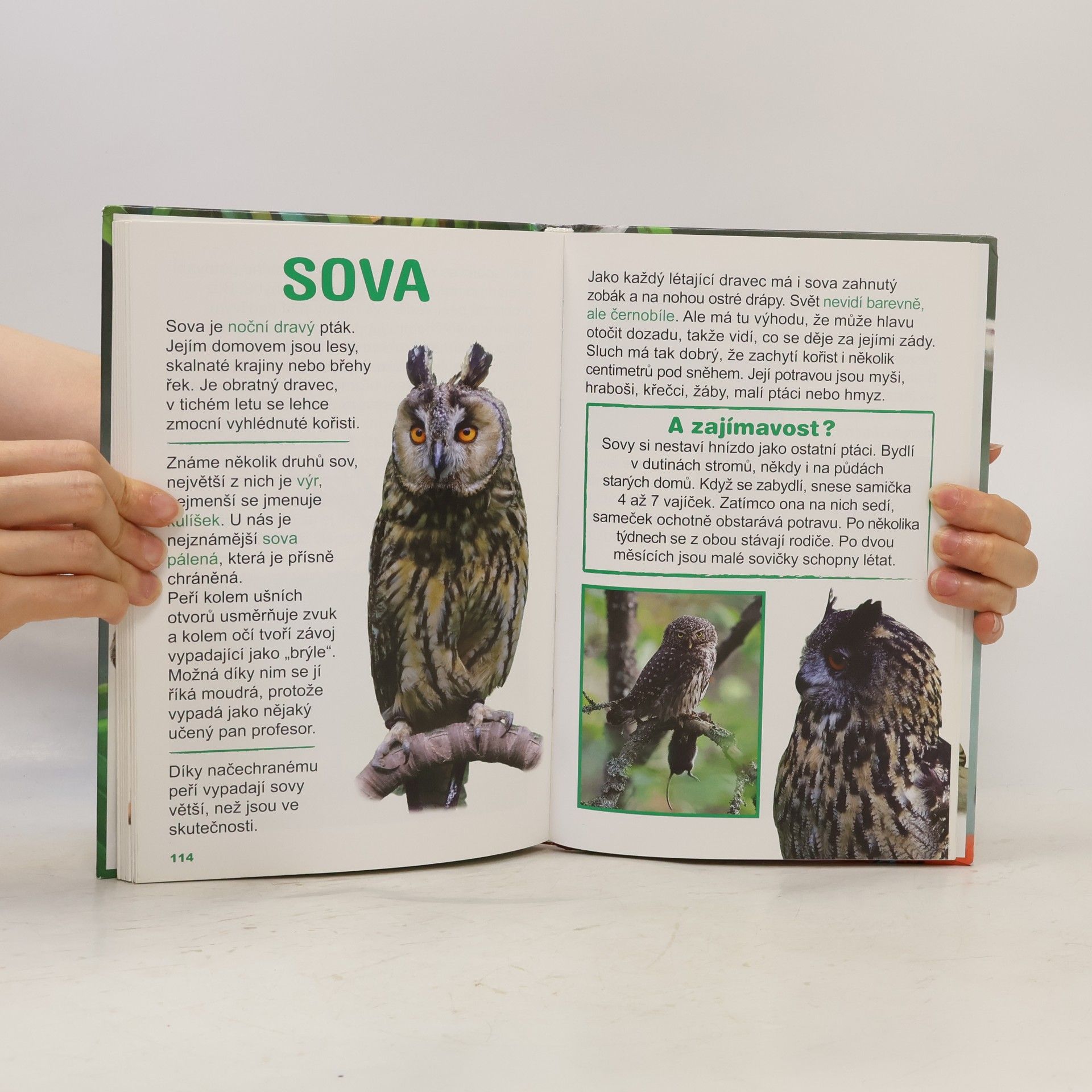 Bohunka Trelová První čtení o zvířátkách