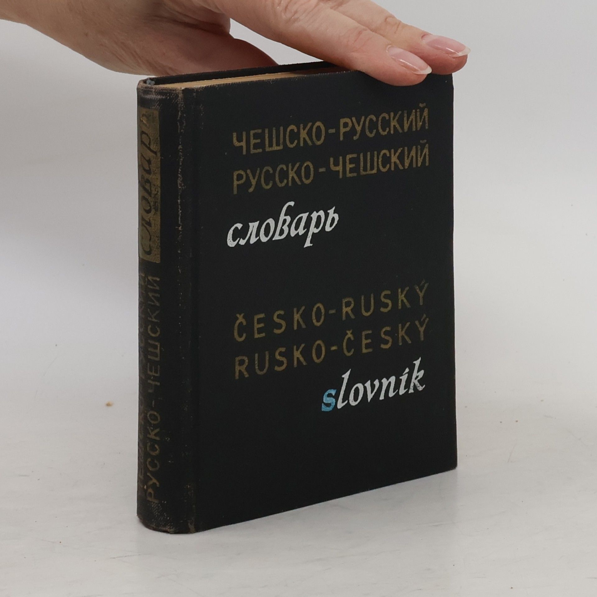 kolektiv Чешско-русский, русско-чешский словарь. Česko-ruský, rusko-český slovník